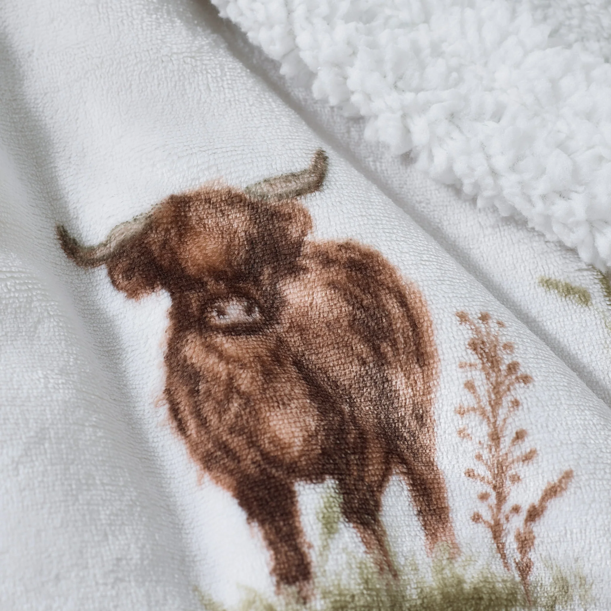 Catherine Lansfield Angus Highland Cow Throw - Angus Highland Cow Throw 130X170CM - Image 2