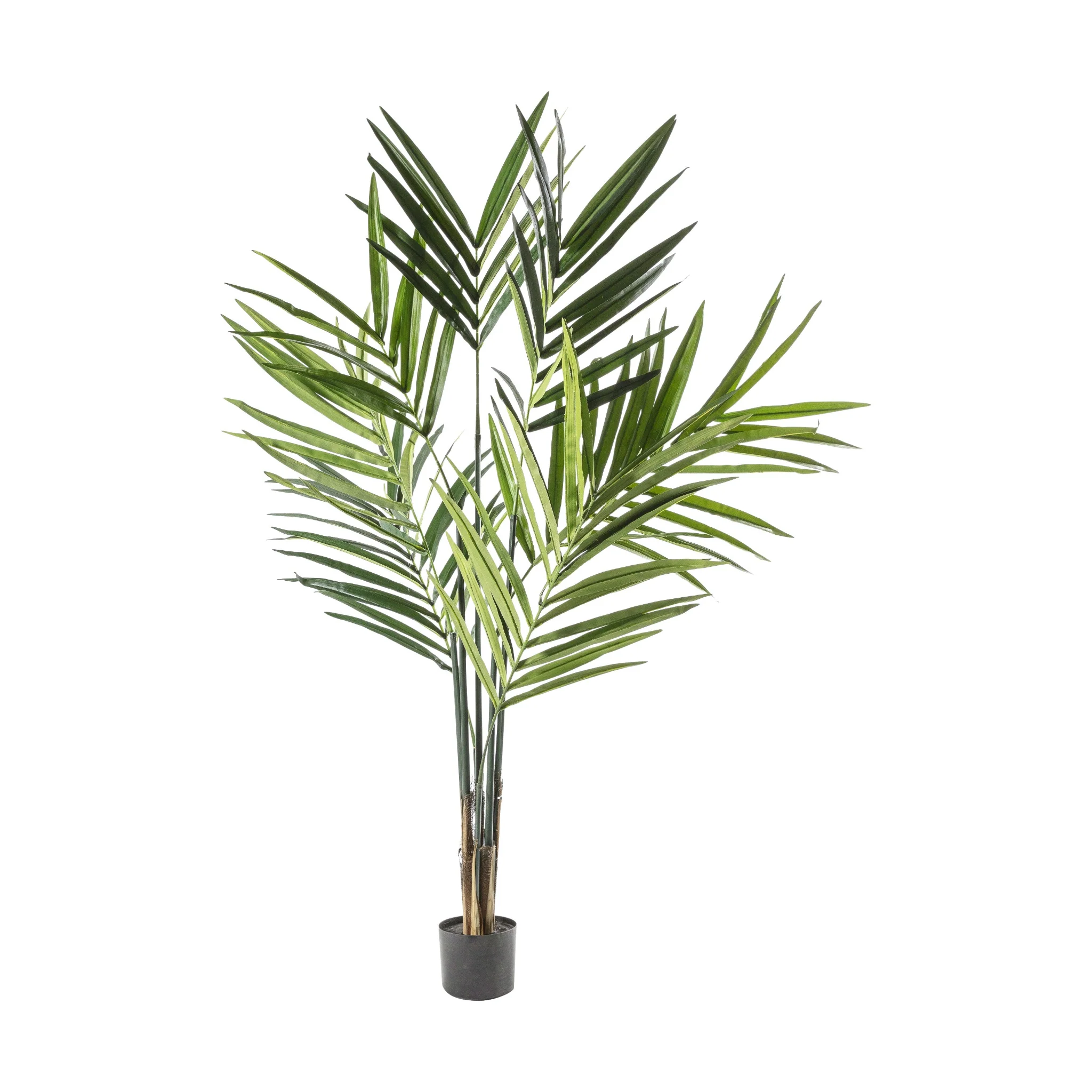 Artifical Kentia Palm Tree - Kentia Palm Tree 180CM
