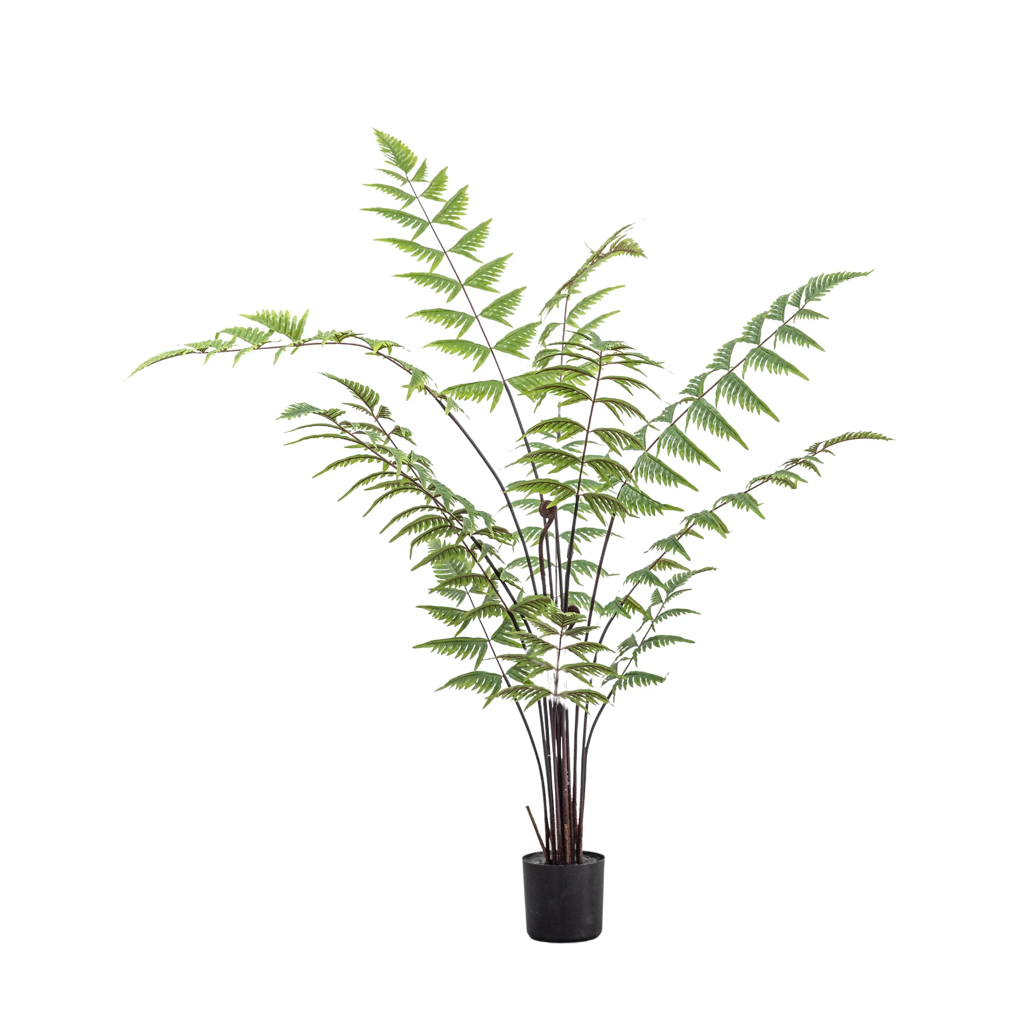 Artificial Butterfly Fern - Butterfly Fern Small 120CM - Image 2