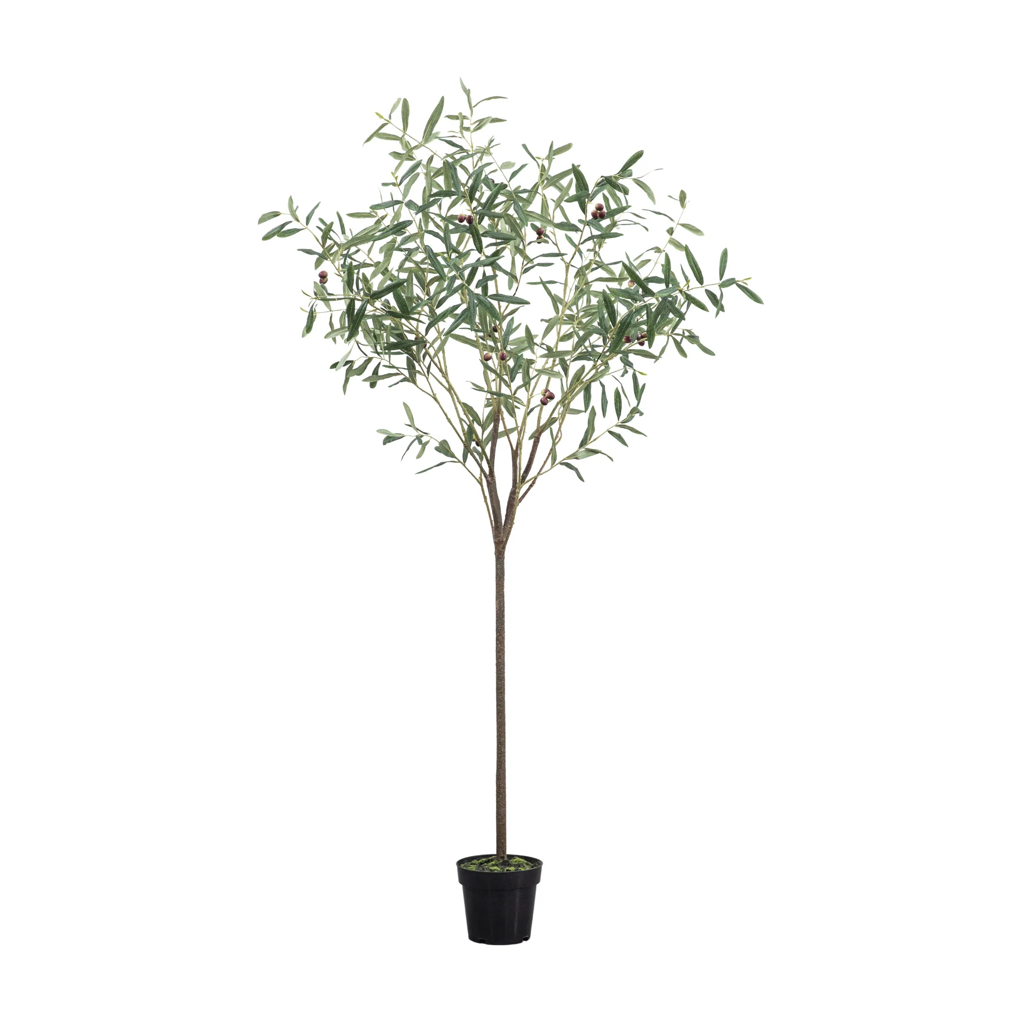 Artificial Olive Tree Small - Olive Tree Small Green