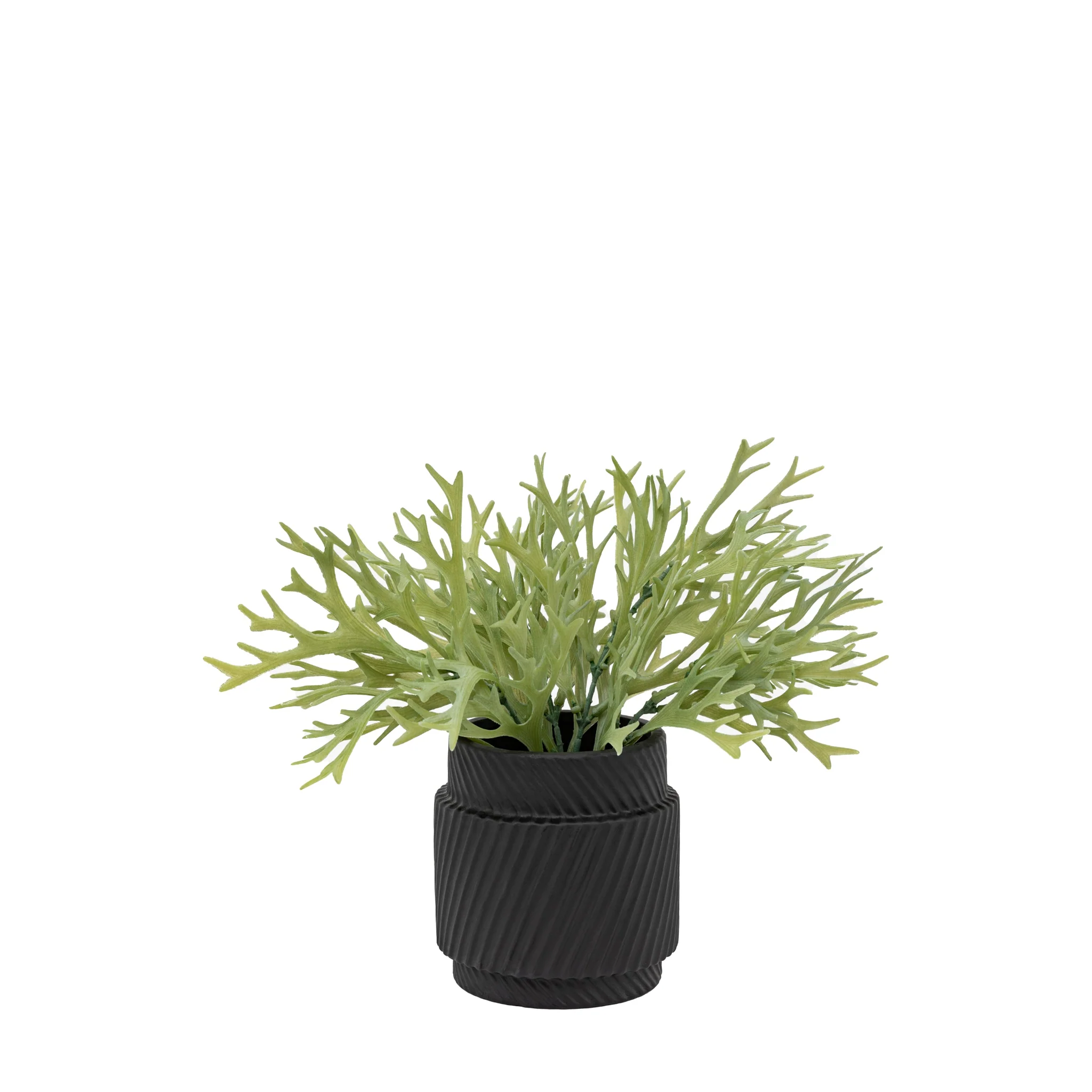 Artificial Playycerium In Green Ceramic Pot - Faux Playycerium in Ceramic Pot Sage Green