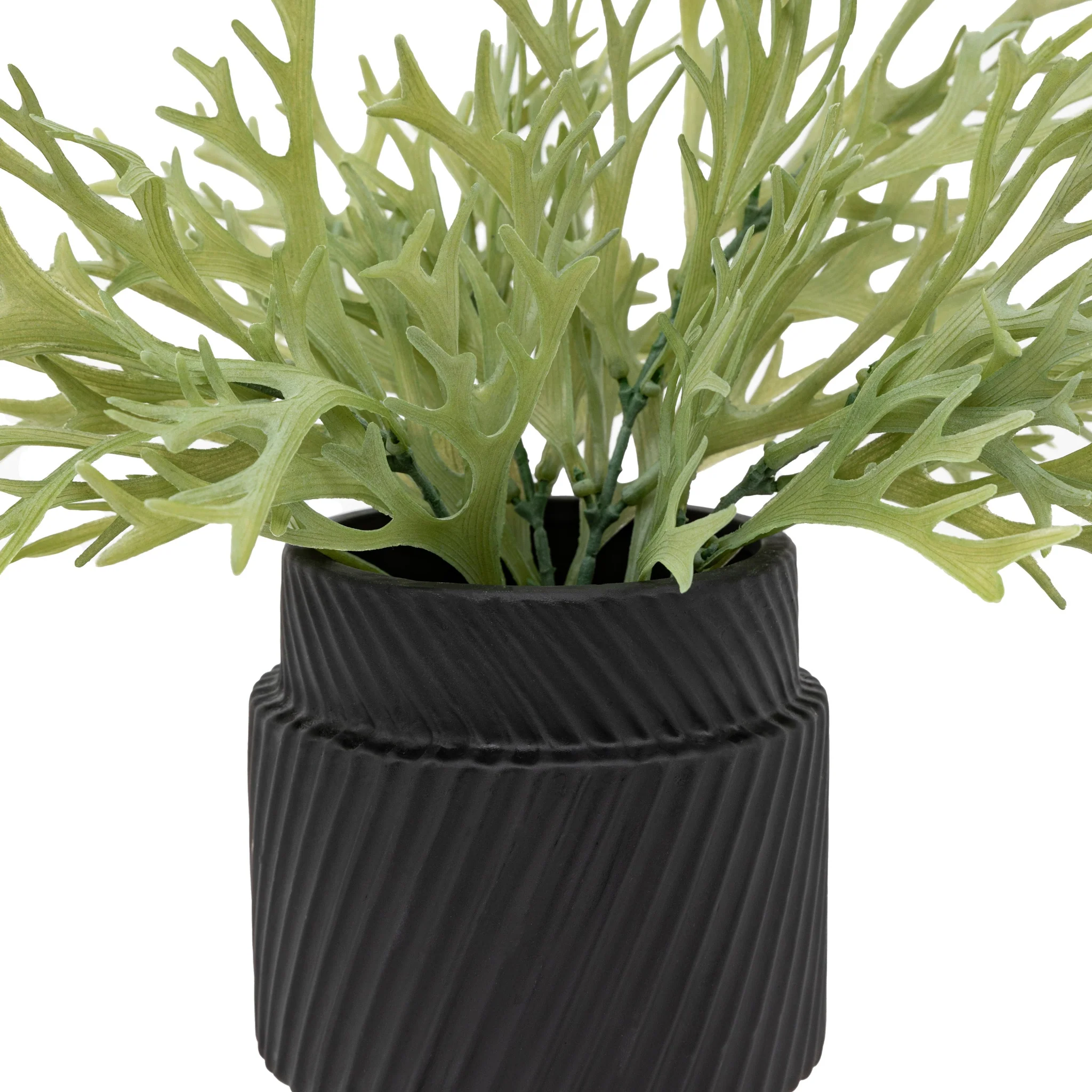 Artificial Playycerium In Green Ceramic Pot - Faux Playycerium in Ceramic Pot Sage Green - Image 2