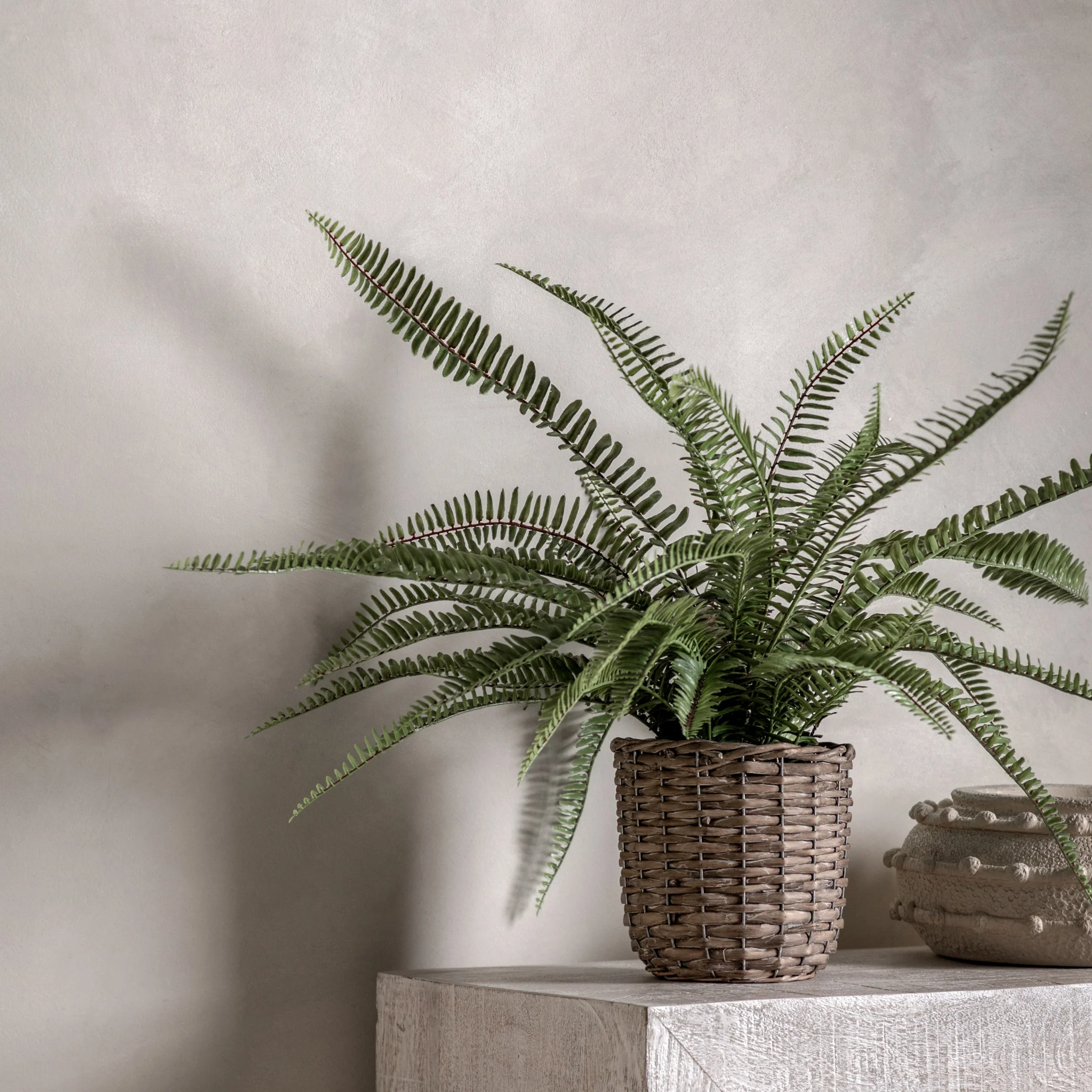 Artificial Potted Fern Plant Small - Potted Fern Plant 81CM