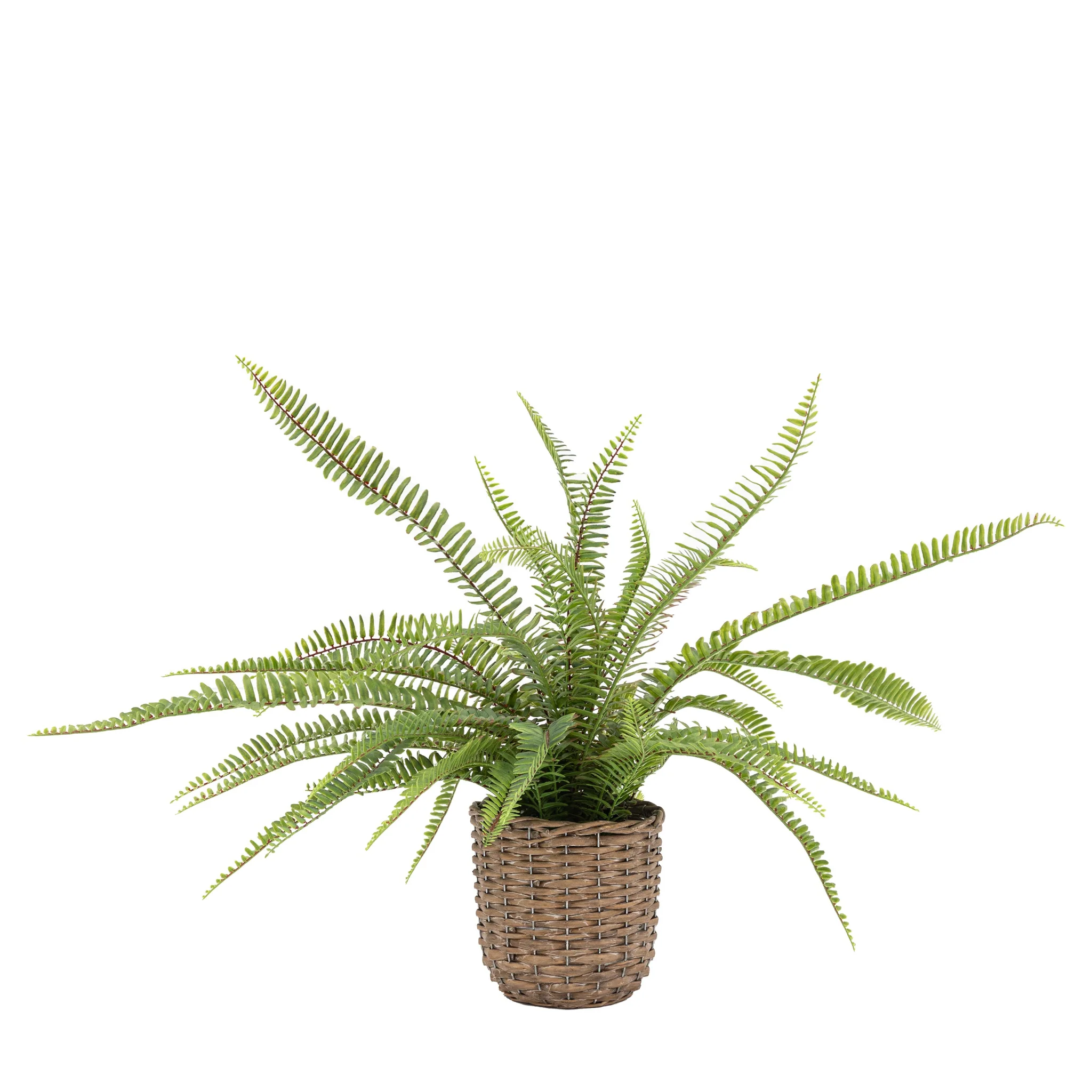 Artificial Potted Fern Plant Small - Potted Fern Plant 81CM - Image 3
