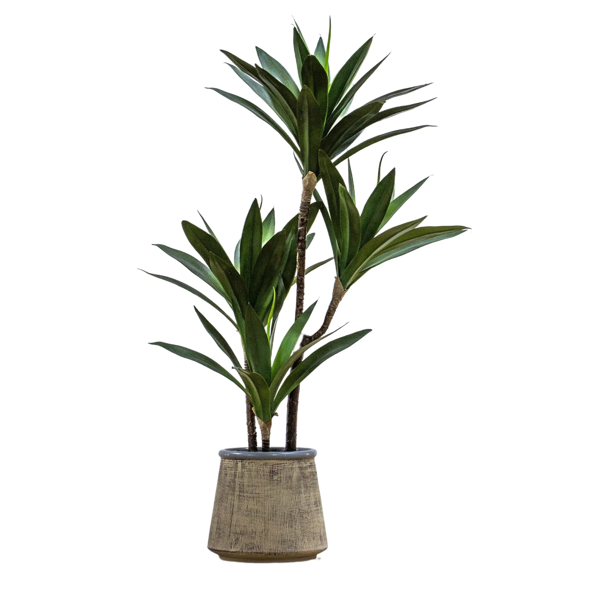 Artificial Potted Green Yucca - Potted Yucca Green 65CM