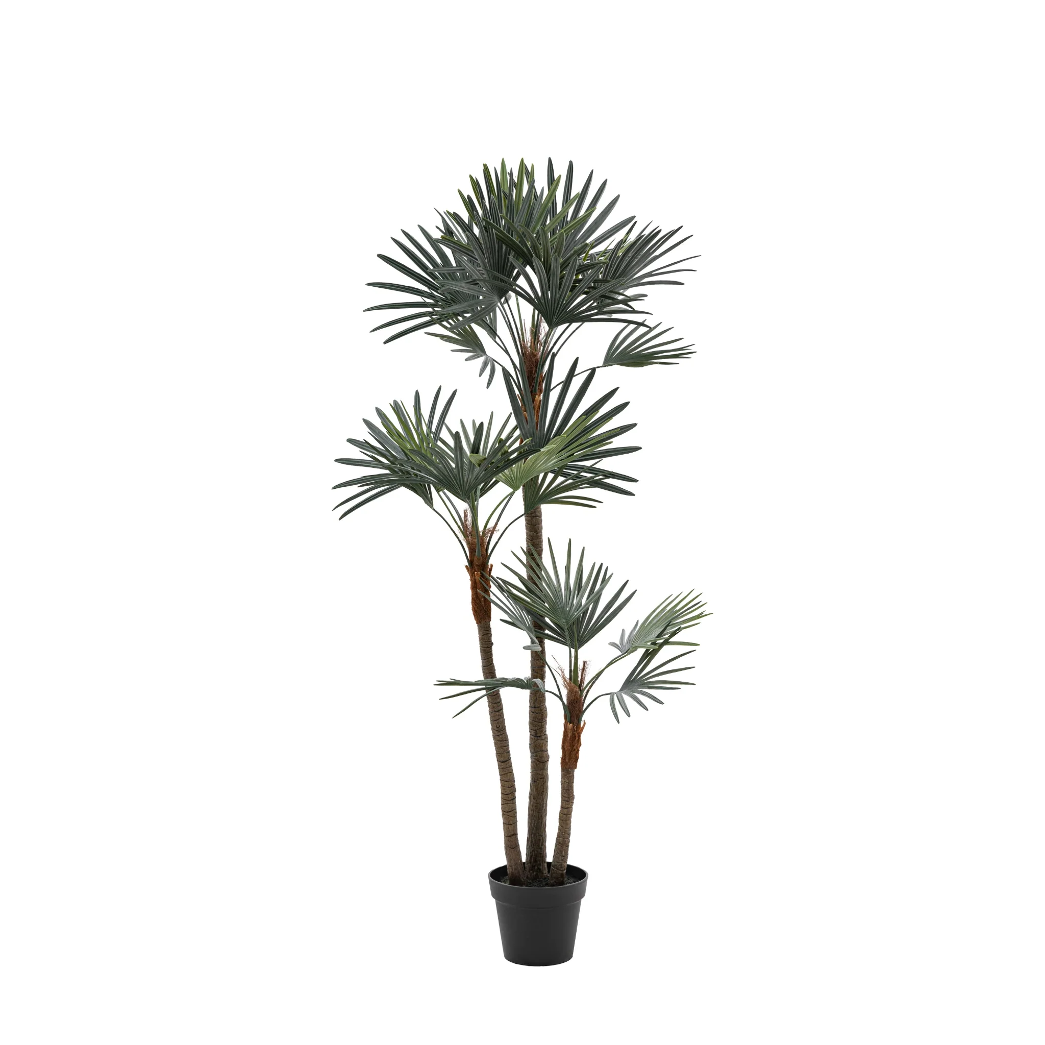 Artificial Potted Statement Palm Large - Potted Statement Palm Large - Image 4