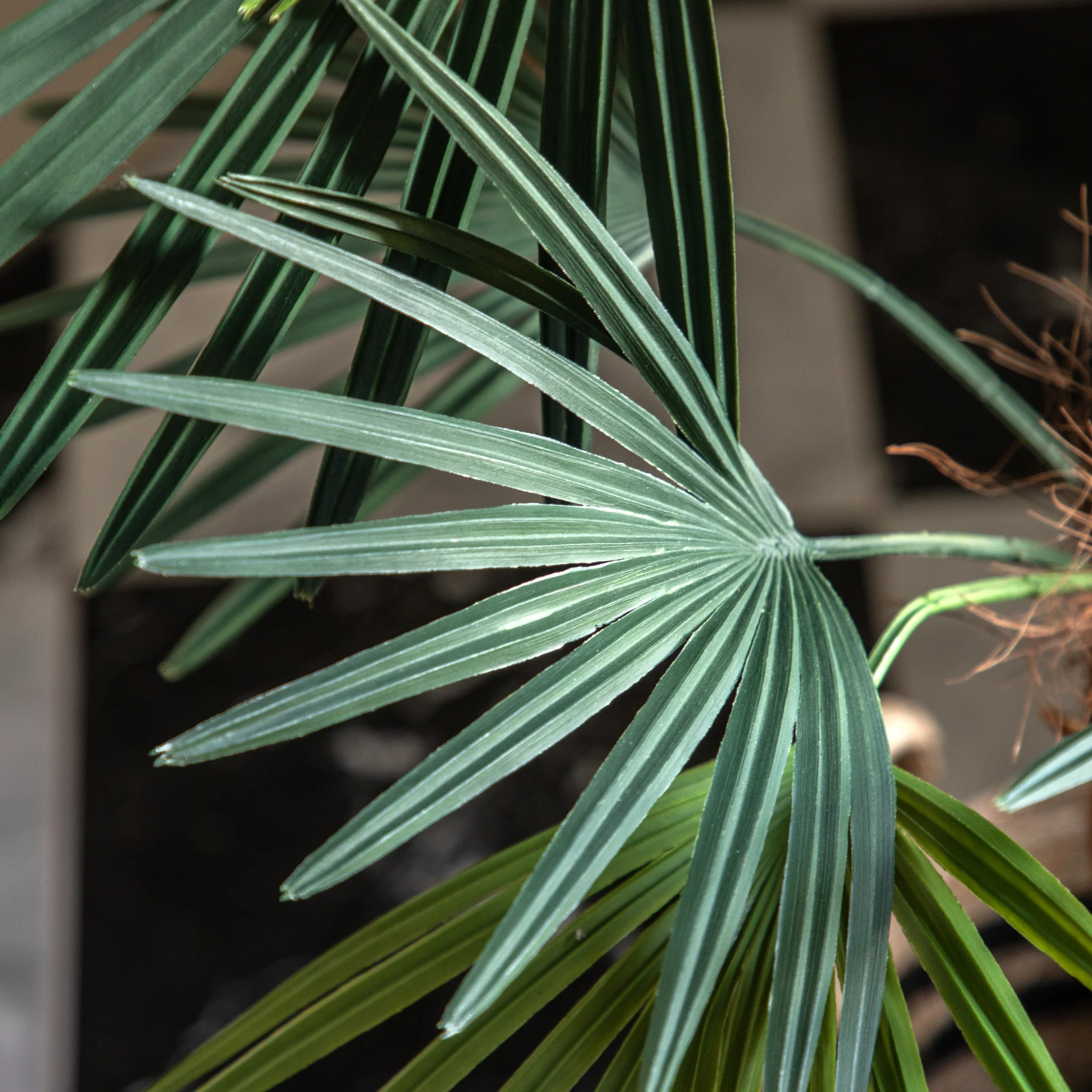 Artificial Potted Statement Palm Small - Potted Statement Palm Small - Image 3