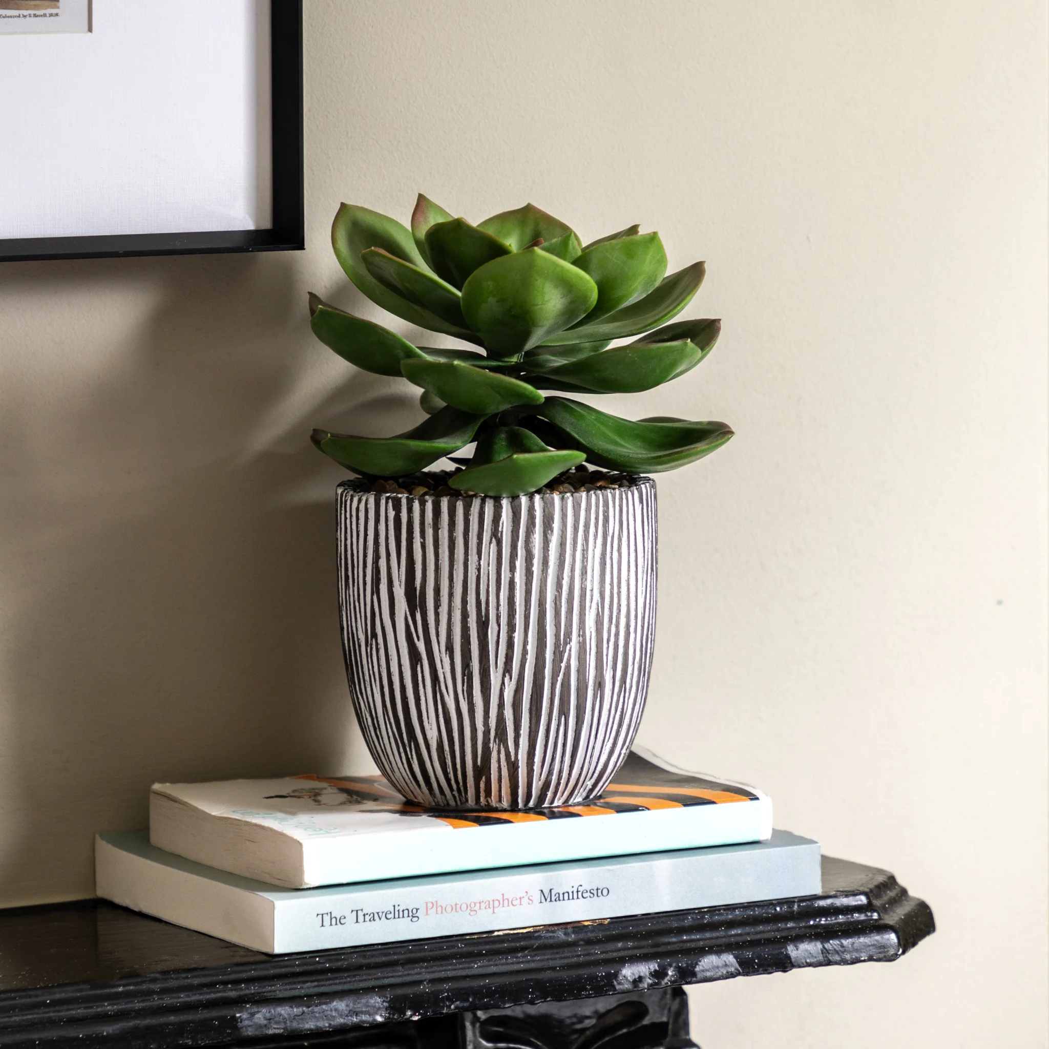 Artificial Potted Succulent In Ribbed Black Pot - Potted Succulent in Ribbed Black Ceramic Pot