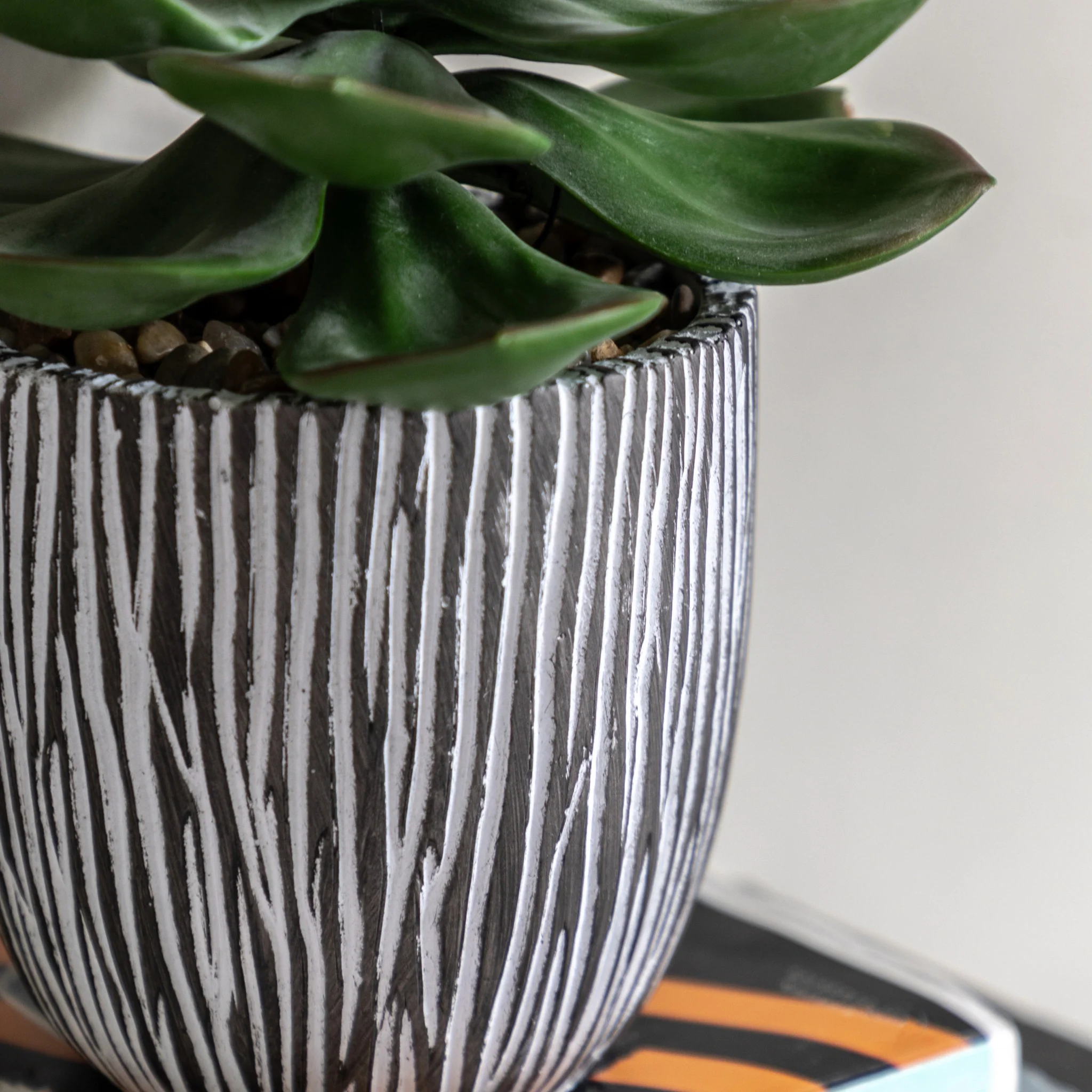 Artificial Potted Succulent In Ribbed Black Pot - Potted Succulent in Ribbed Black Ceramic Pot - Image 2
