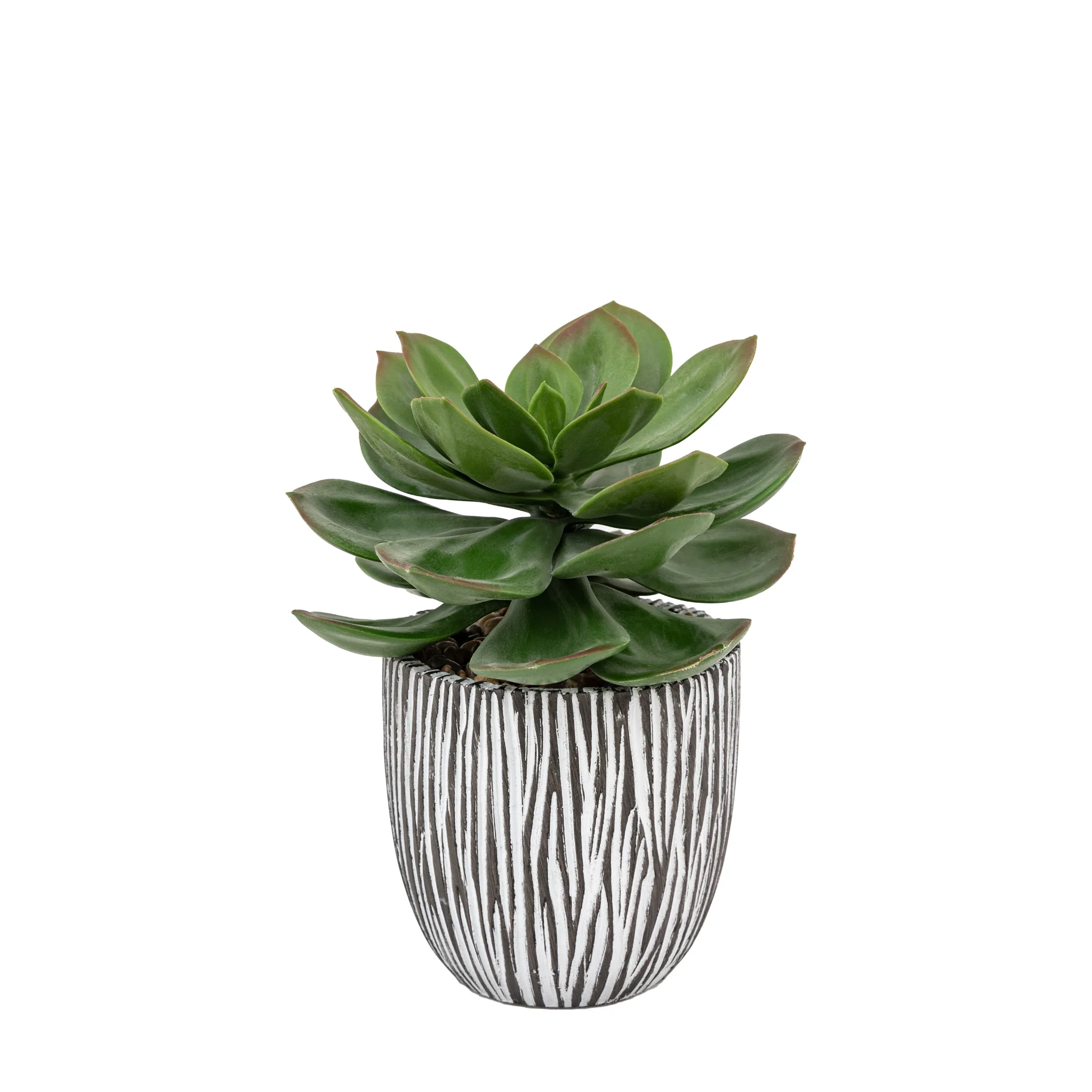 Artificial Potted Succulent In Ribbed Black Pot - Potted Succulent in Ribbed Black Ceramic Pot - Image 4