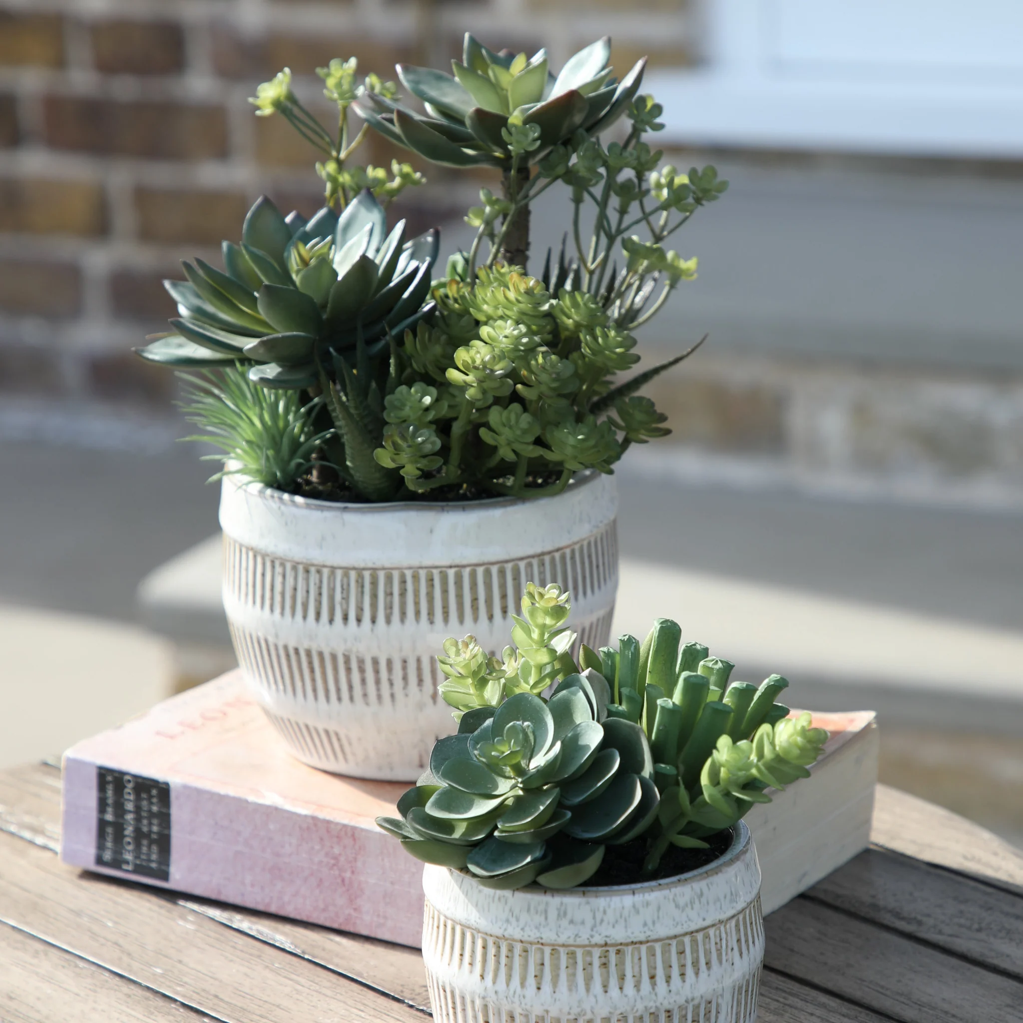 Artificial Potted Succulents In Ceramic Pot - Potted Succulents Ceramic Pot Green Brown Large