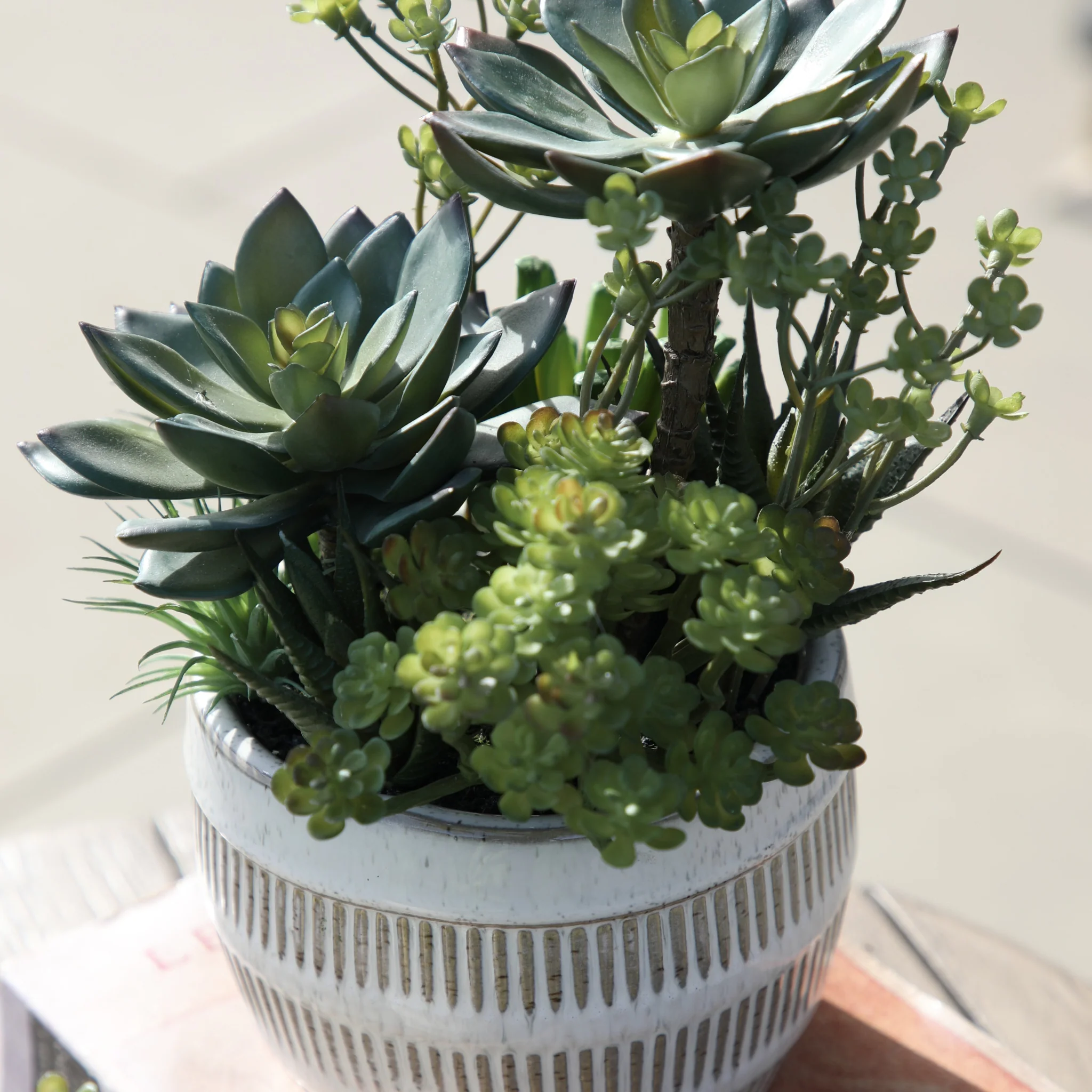 Artificial Potted Succulents In Ceramic Pot - Potted Succulents Ceramic Pot Green Brown Large - Image 2