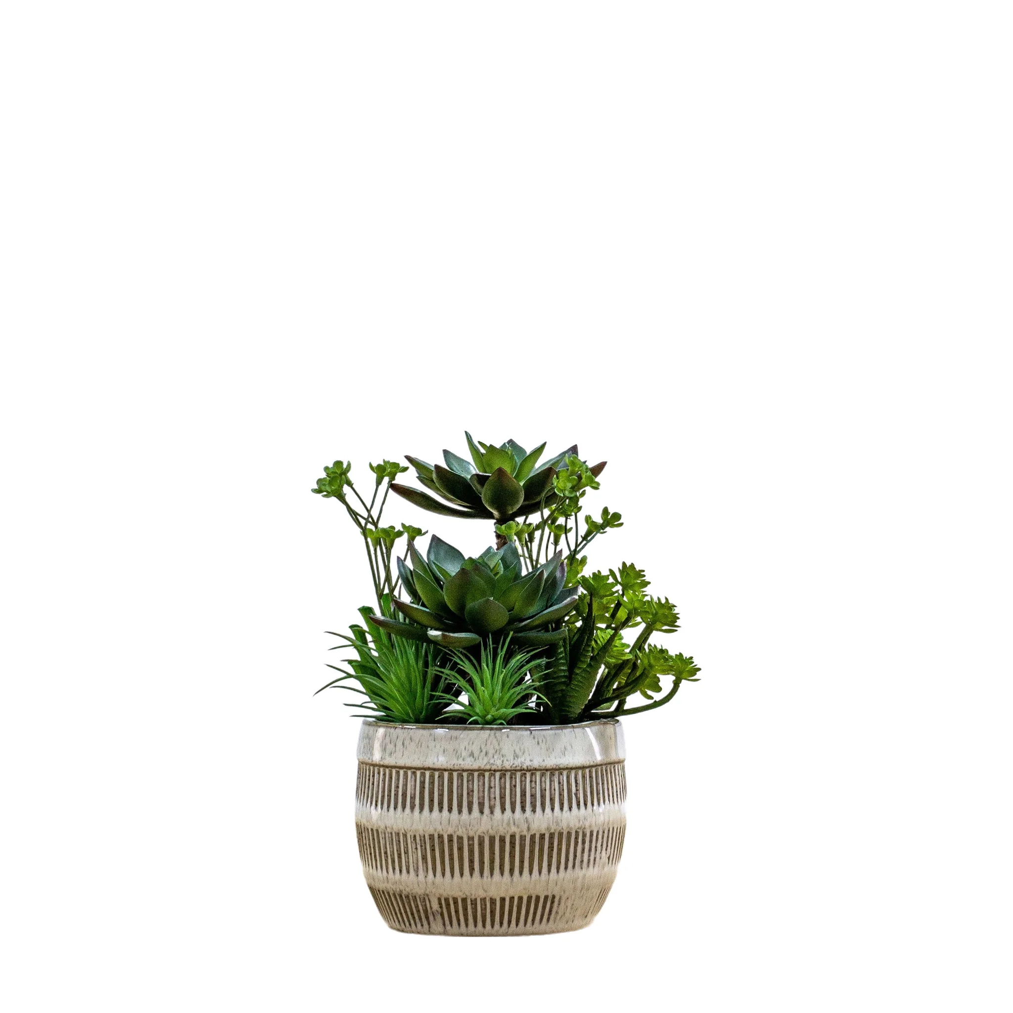 Artificial Potted Succulents In Ceramic Pot - Potted Succulents Ceramic Pot Green Brown Large - Image 3