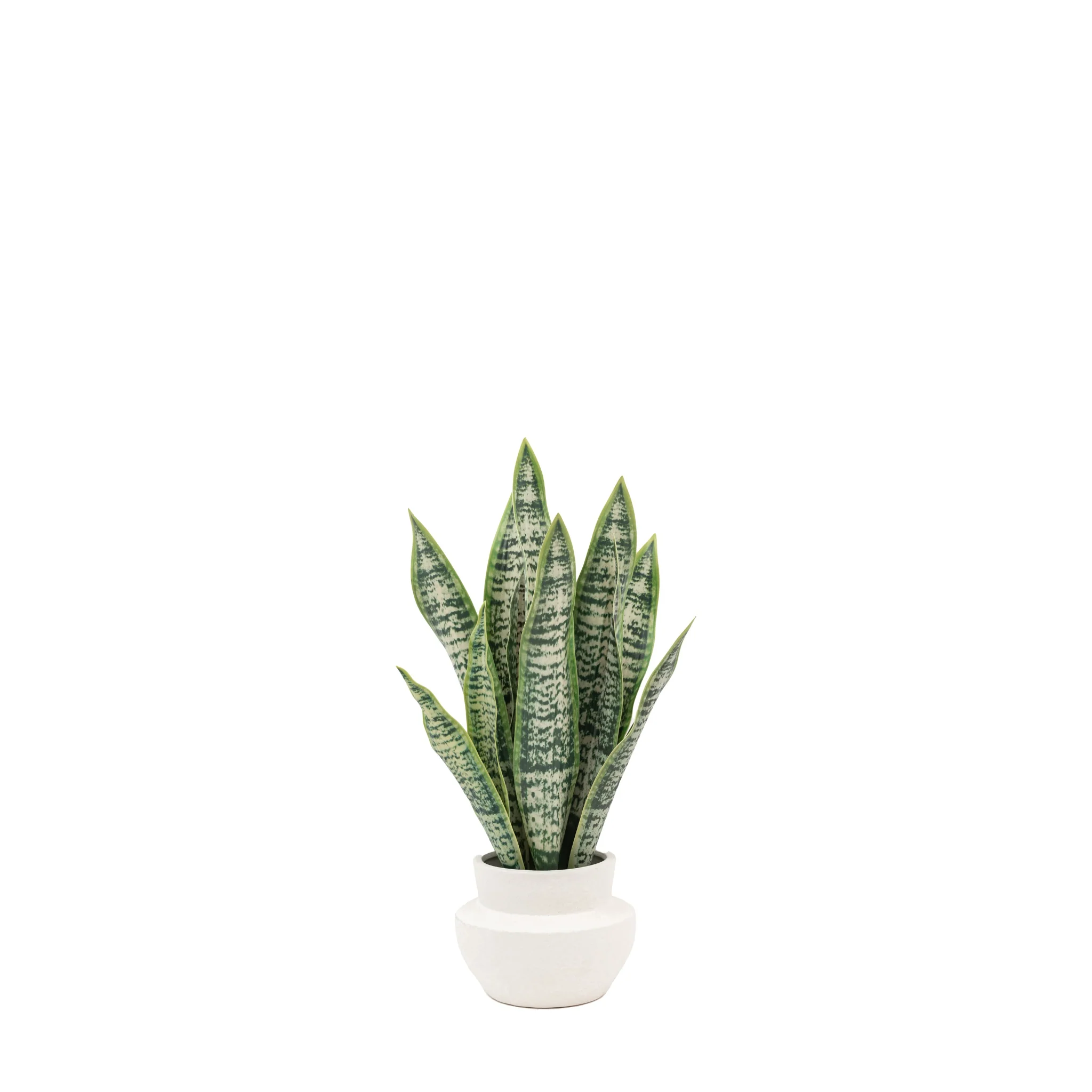 Artificial Snake Plant In Ceramic Pot - Faux Snake Plant in Ceramic Pot - Image 3