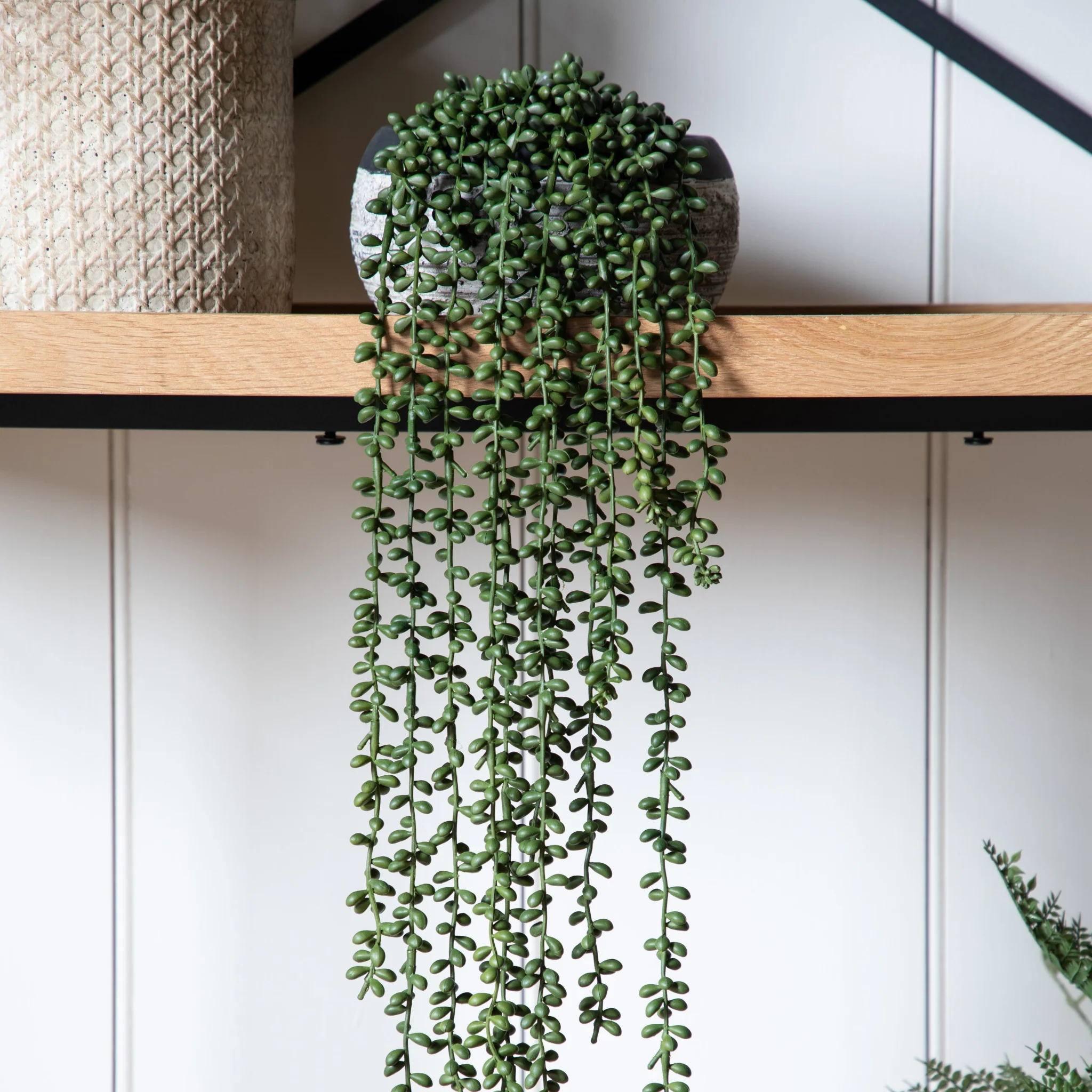 Artificial  String Of Pearls In Soil - String of Pearls in Soil 71CM