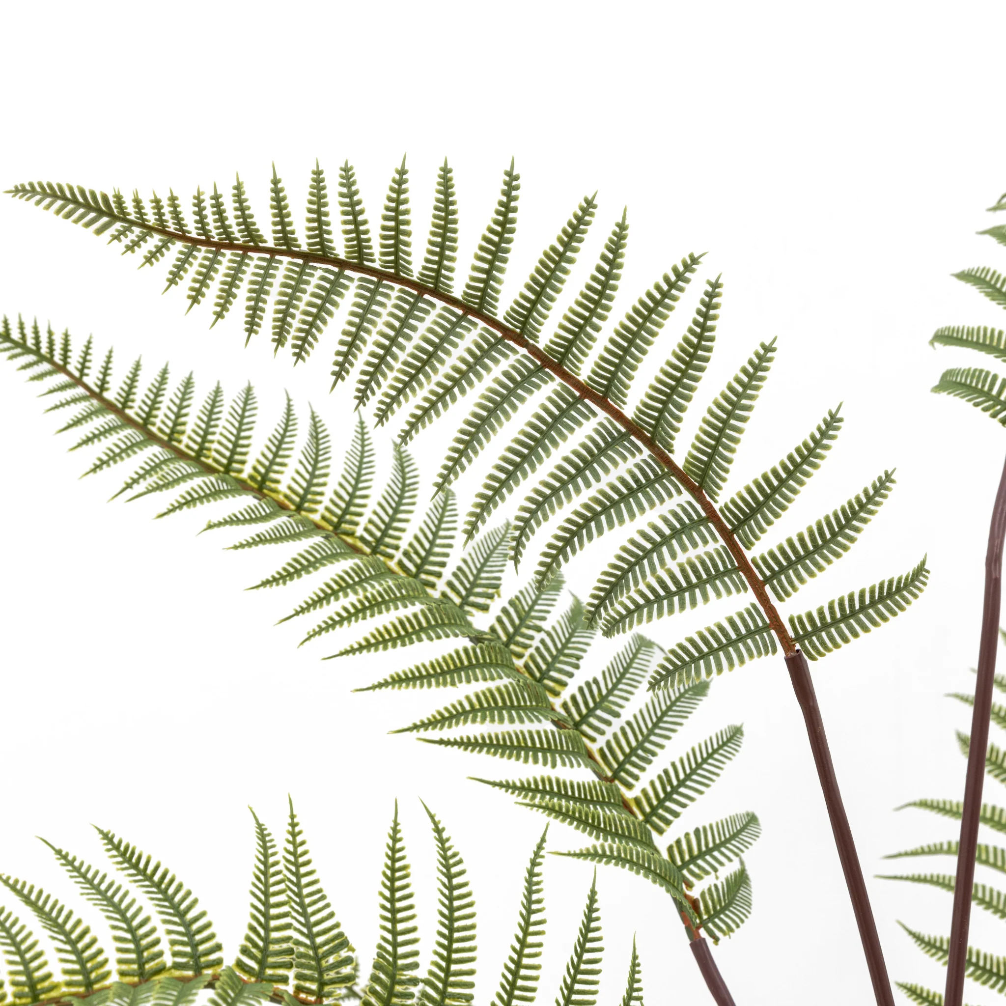 Artificial Tall Fern In Grey Textured Pot - Tall Fern in Textured Grey Ceramic Pot - Image 3