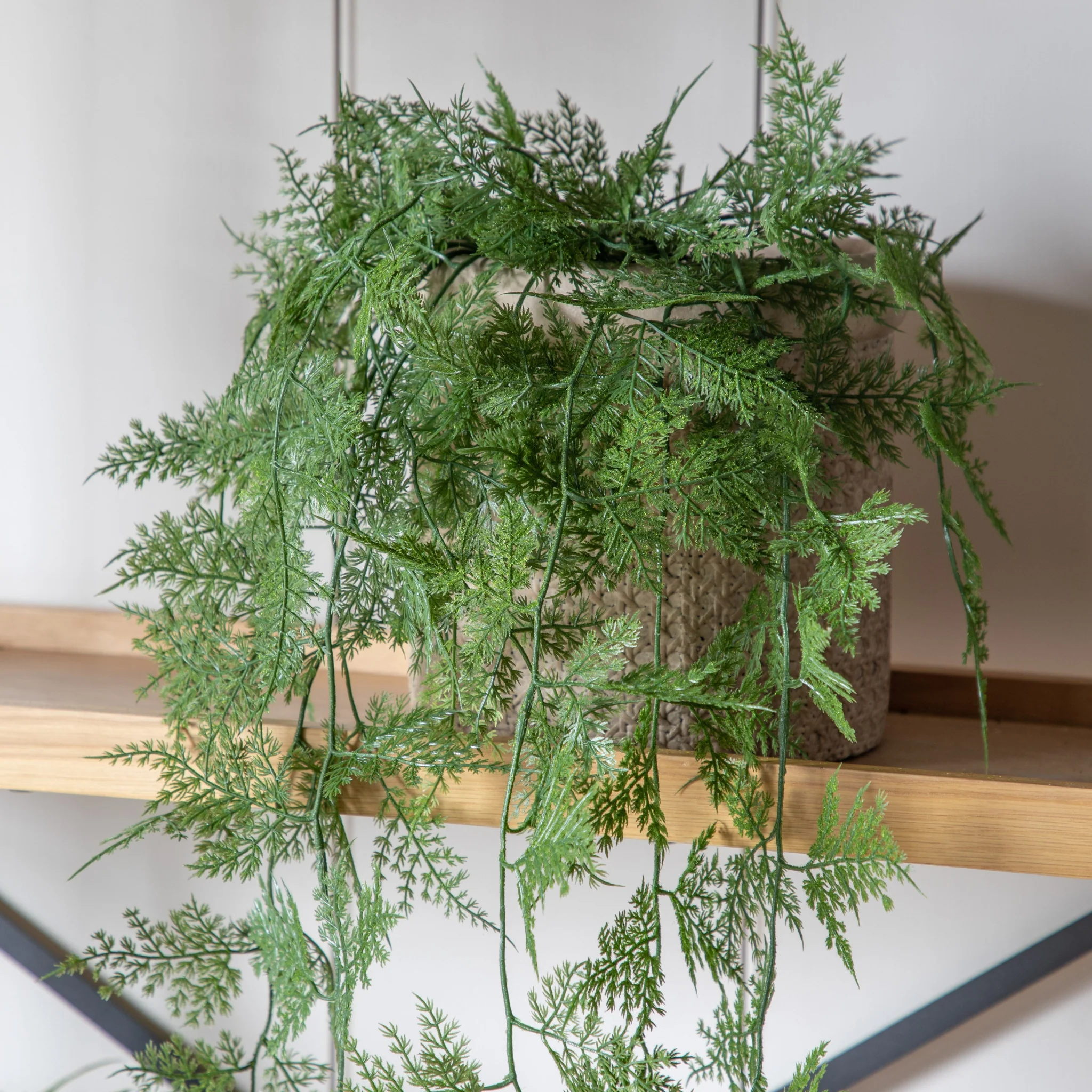 Artificial Trailing Wood Fern In Soil - Trailing Wood Fern in Soil Green 61CM