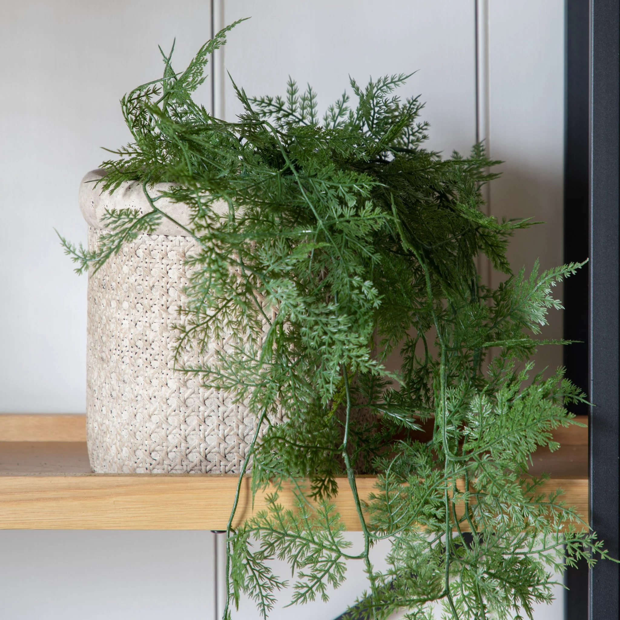 Artificial Trailing Wood Fern In Soil - Trailing Wood Fern in Soil Green 61CM - Image 2