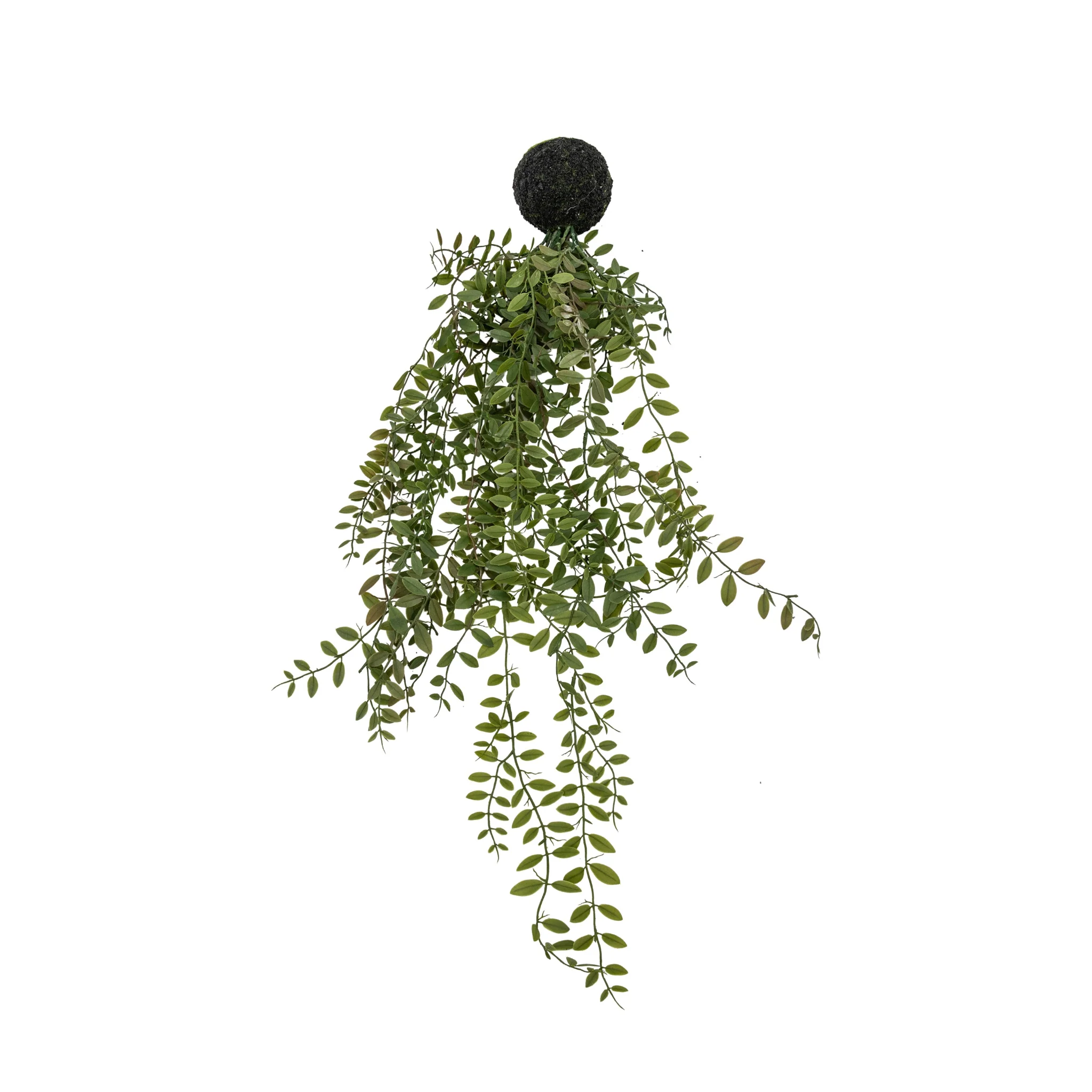 Artificial Trailing Wood Fern In Soil - Trailing Wood Fern in Soil Green 61CM - Image 4