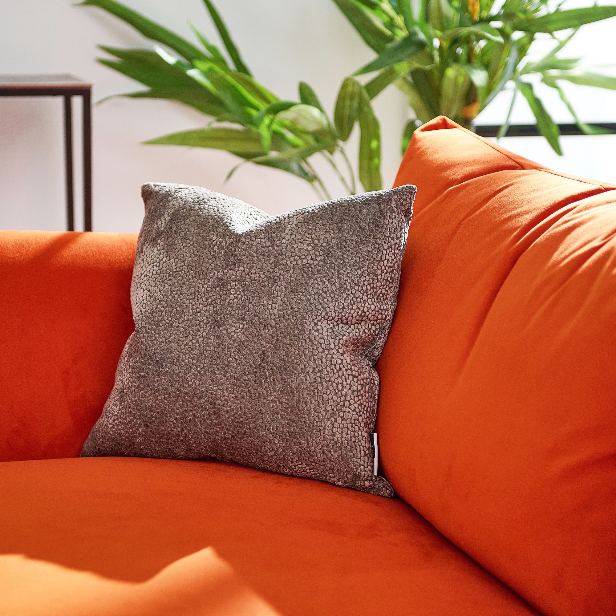 Bingham Velvet Brown Square Cushion - DISC Bingham Velvet Sq Cushion Taupe 43CM
