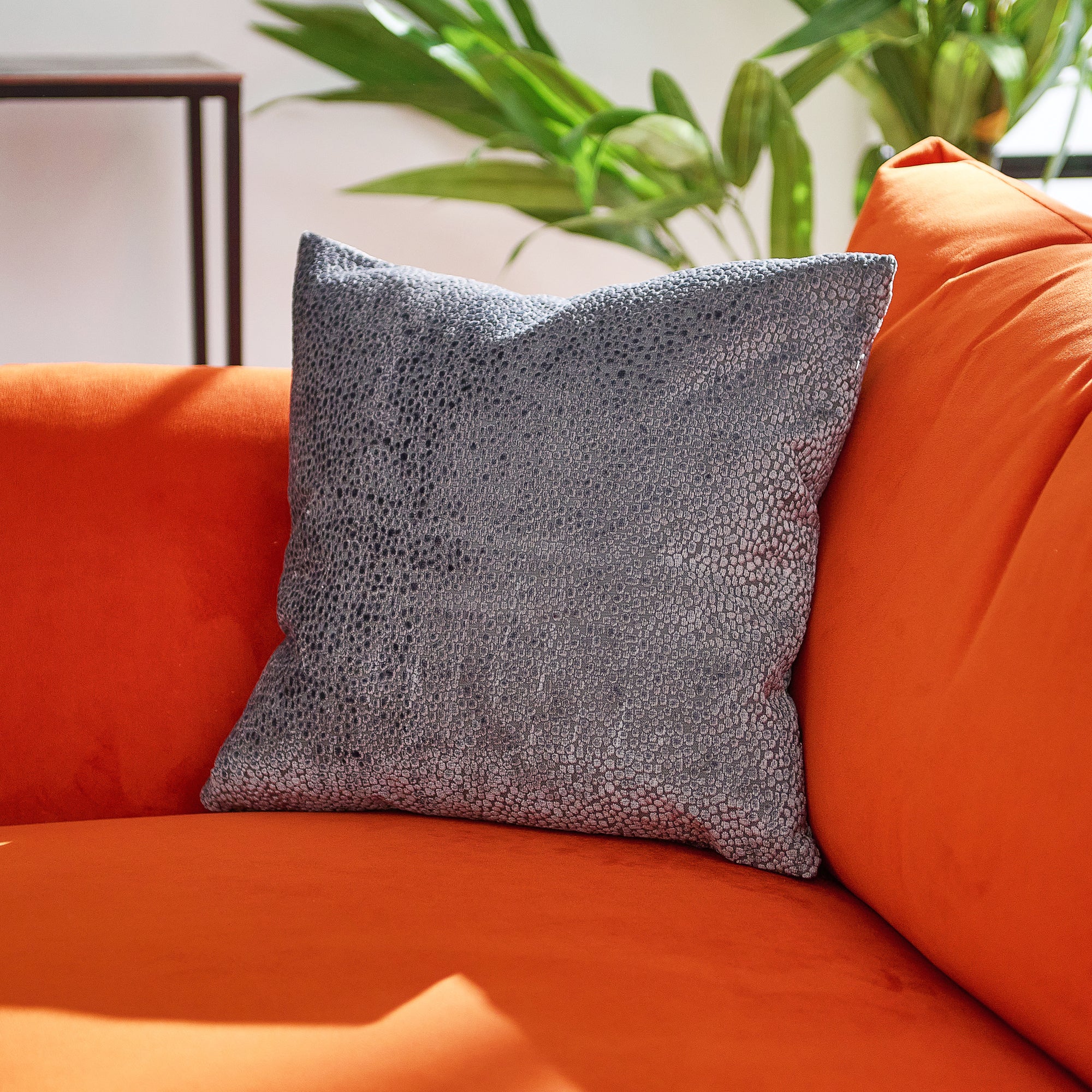 Bingham Velvet Silver Square Cushion - DISC Bingham Velvet Sq Cushion Silver 43CM