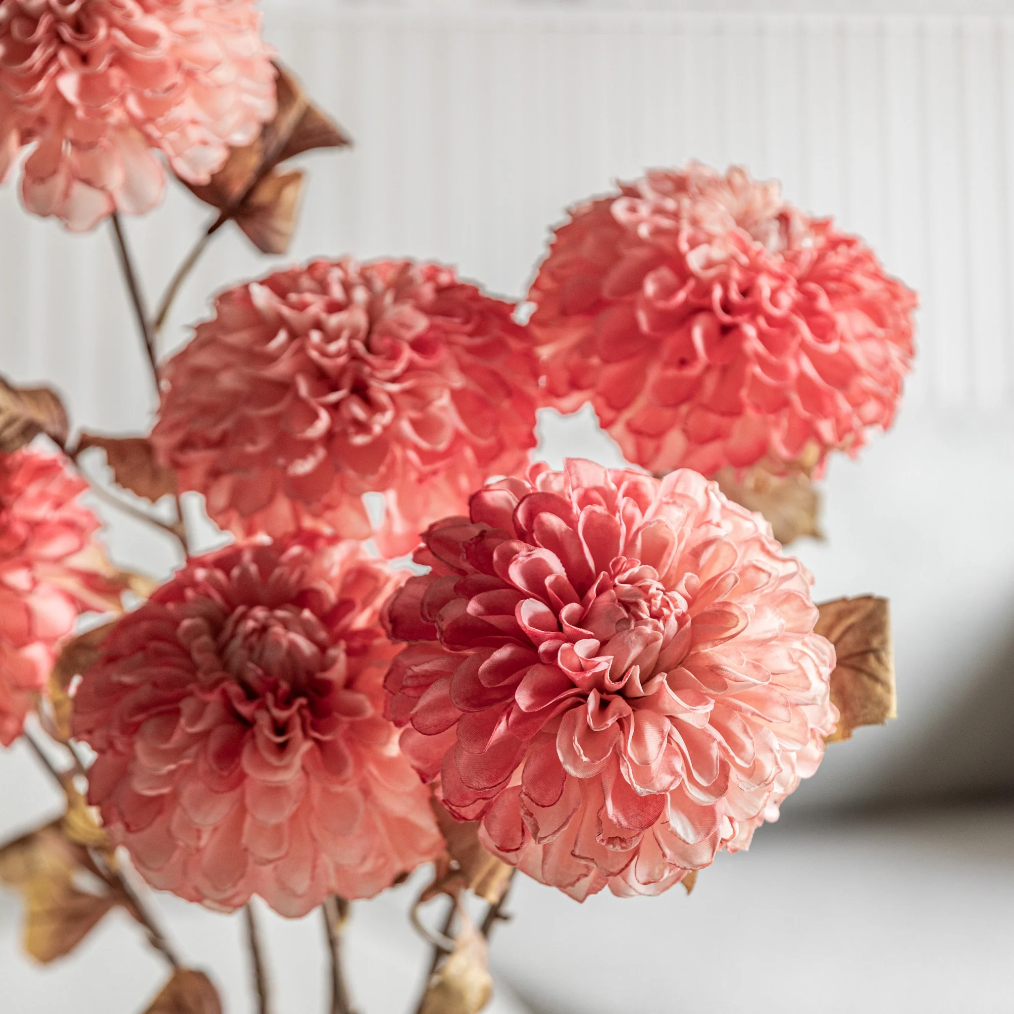 Dahlina Pink Set Of 6 Artificial Flowers - DHD Faux Stem Dahlia Apricot 73CM 6Pk - Image 2