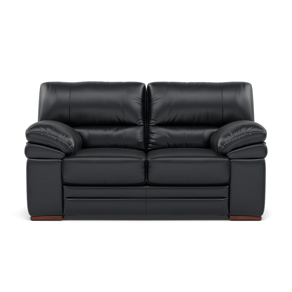 Gino 2 Seater Sofa - 2 Seater Sofa Cat 60 - Image 26
