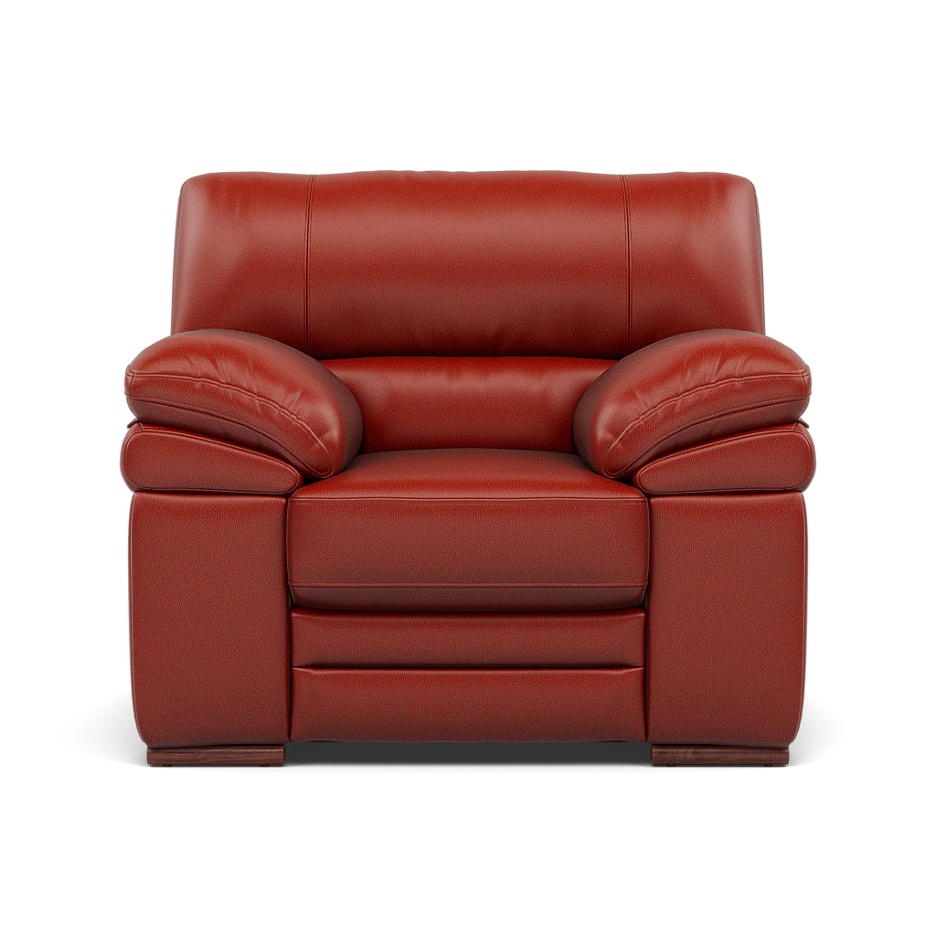 Gino Armchair - Armchair Cat 60 - Image 12