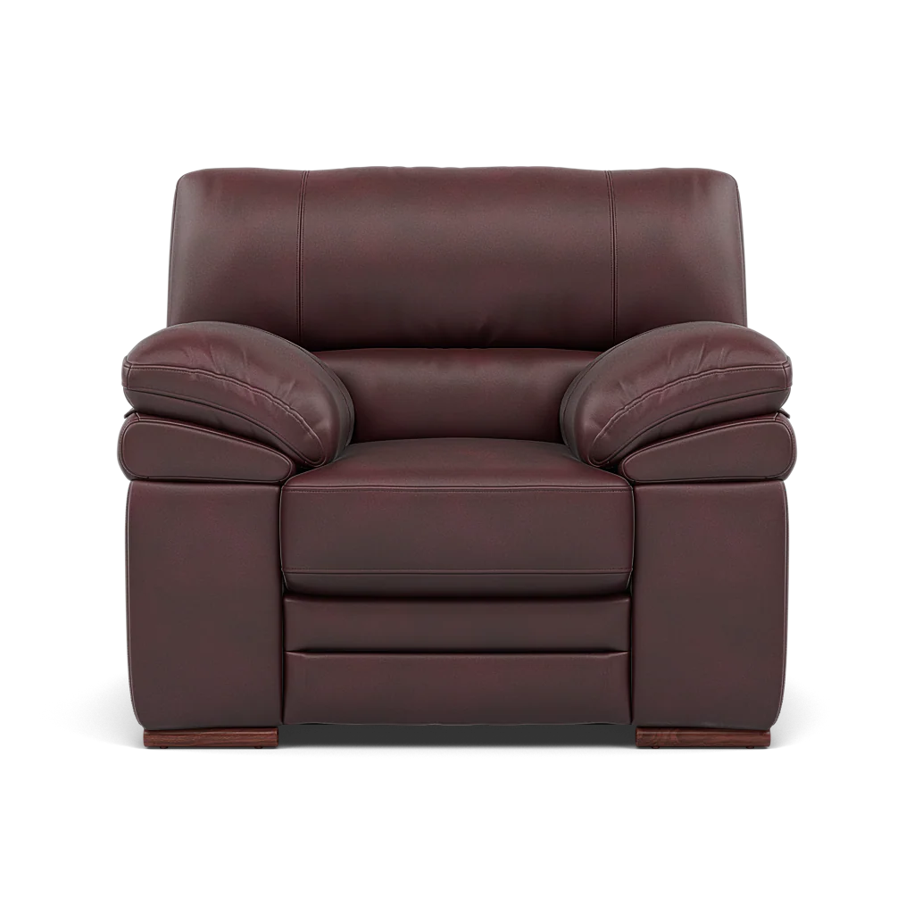 Gino Armchair - Armchair Cat 60 - Image 14