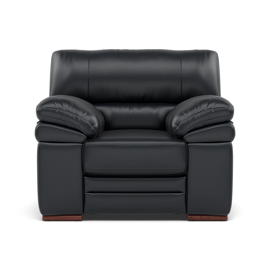 Gino Armchair - Armchair Cat 60 - Image 26