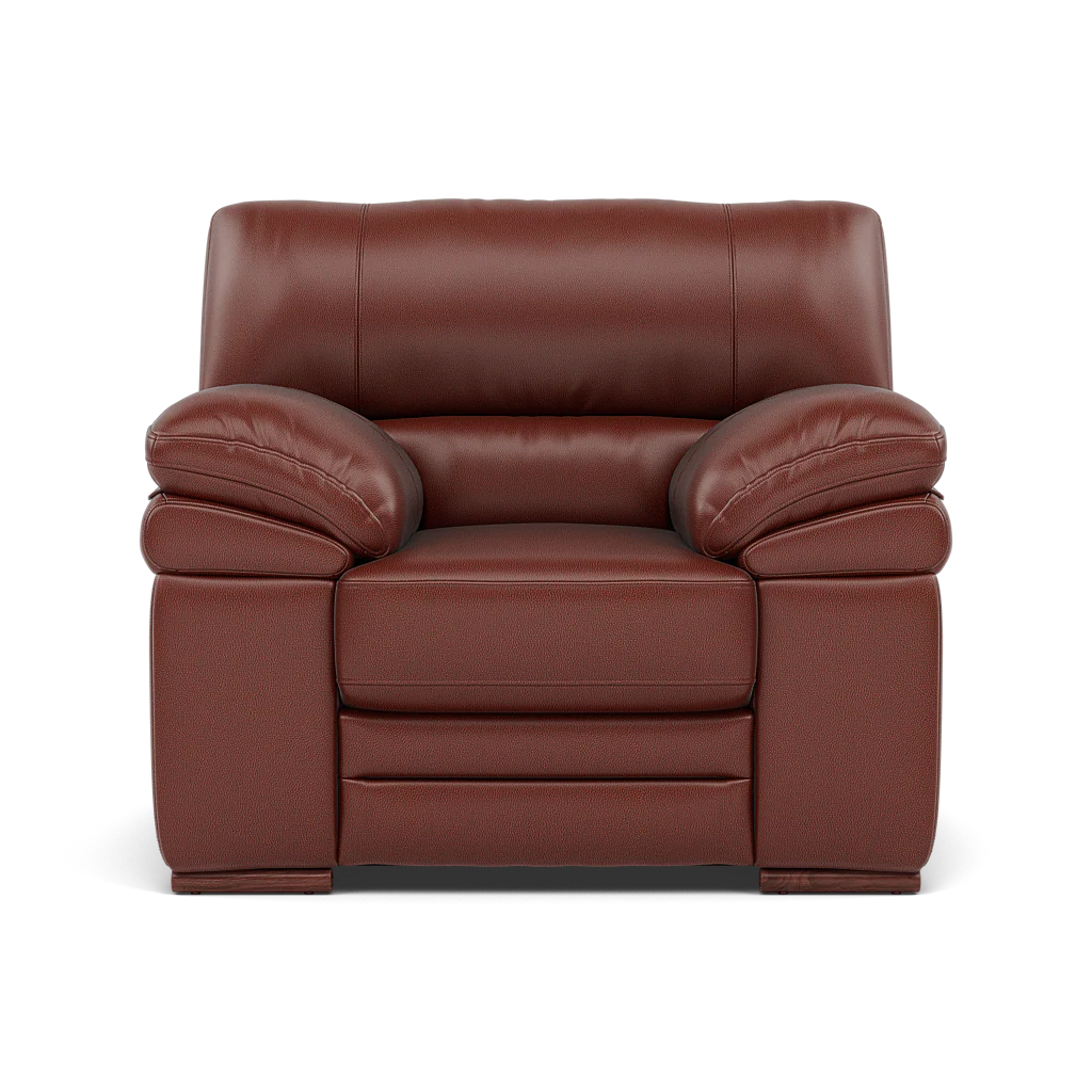 Gino Armchair - Armchair Cat 60 - Image 8