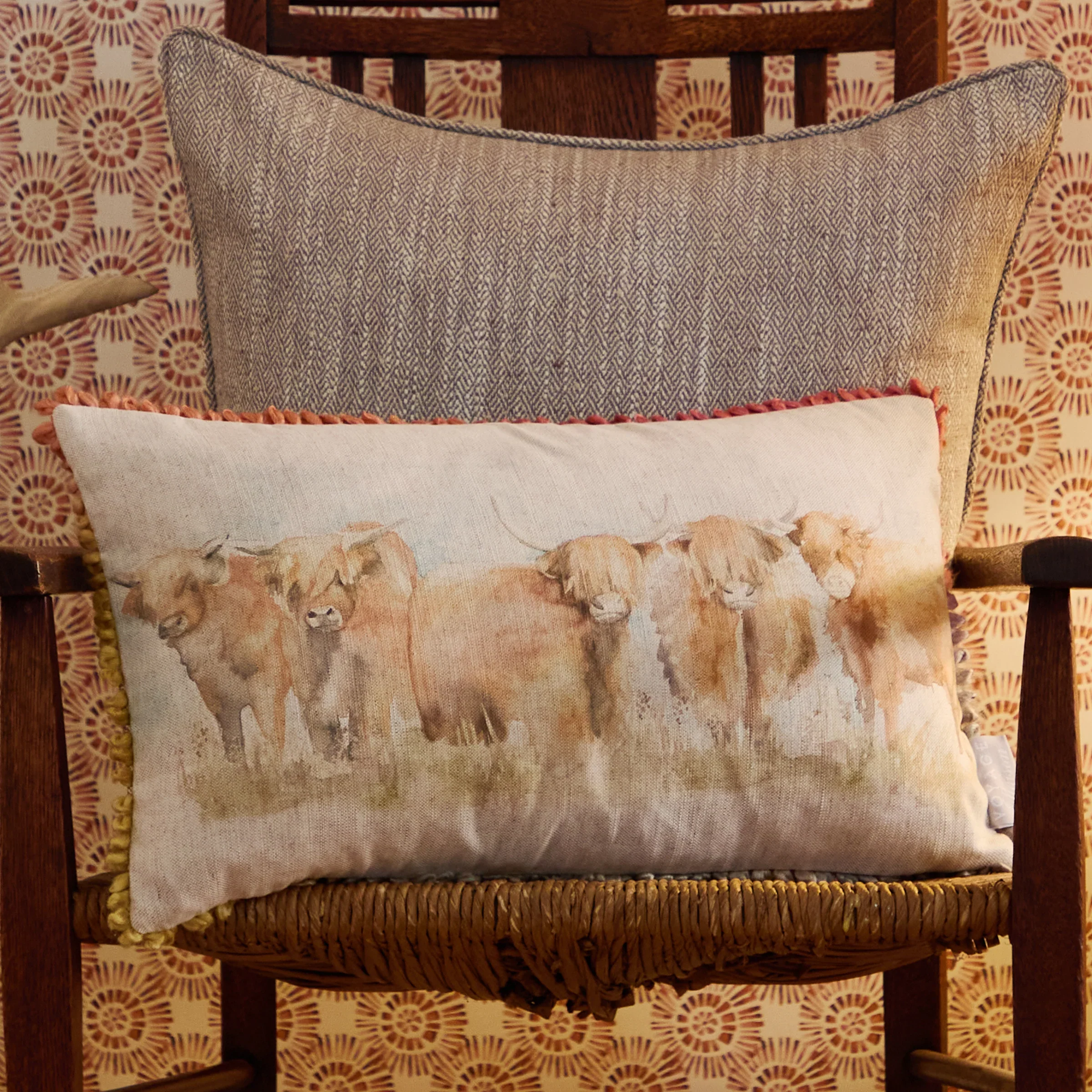 Voyage Highland Cattle Feather Filled Cushion - Voyage Highland Cattle 30X50CM Feather Filled