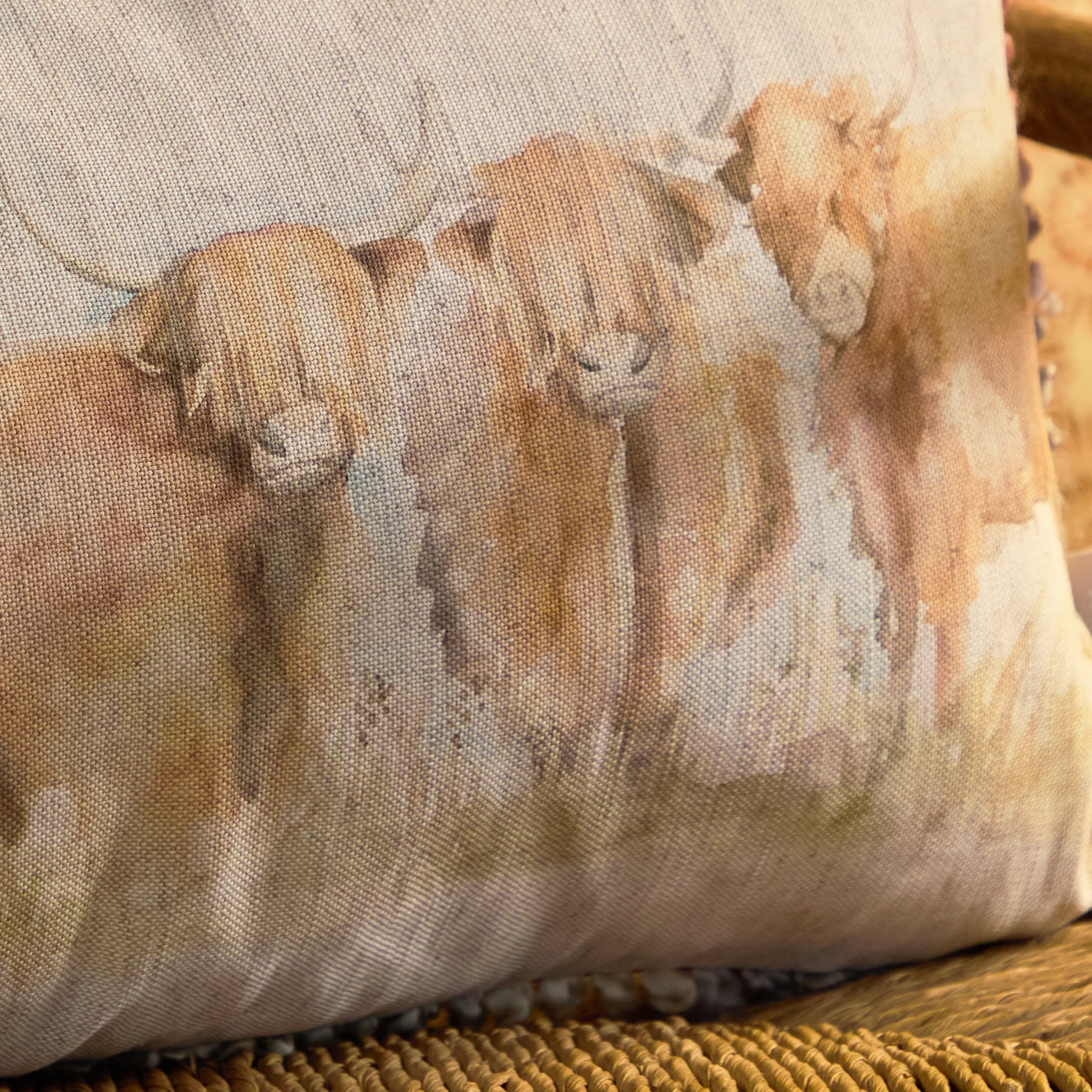 Voyage Highland Cattle Feather Filled Cushion - Voyage Highland Cattle 30X50CM Feather Filled - Image 2