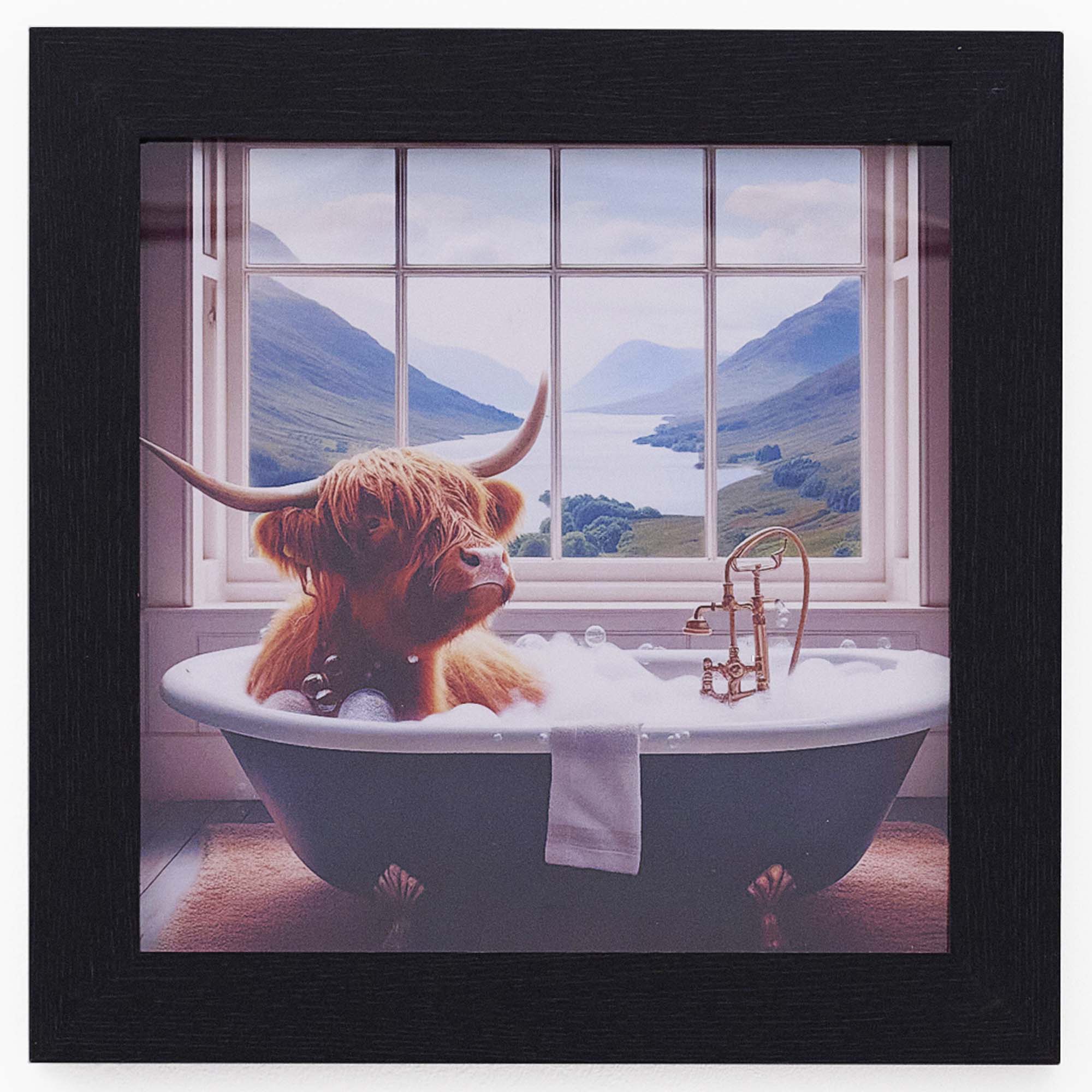Highland Cow In Black Bath Wall Art - Highland Cow In Black Bath 30x30 - Image 2
