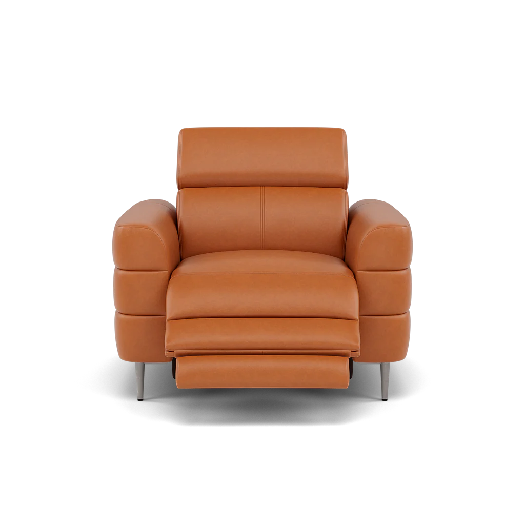 Hoy Recliner Armchair - Chair W/ Power Recliner W/ Manual Headrest Cat NL/O - Power with Manual Headrest - Image 13