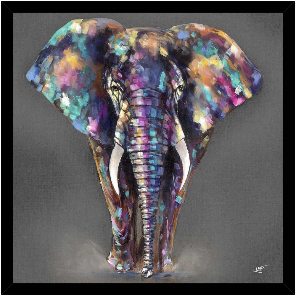 Hugo Framed Print - Hugo Framed Print 48.5x48.5CM