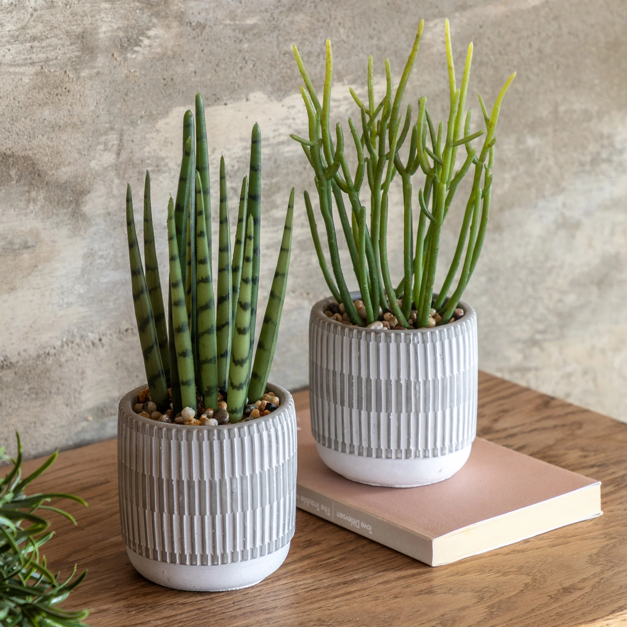 Small Succulents Ceramic Pots - DHD Small Succulents Ceramic Pots 2Pk