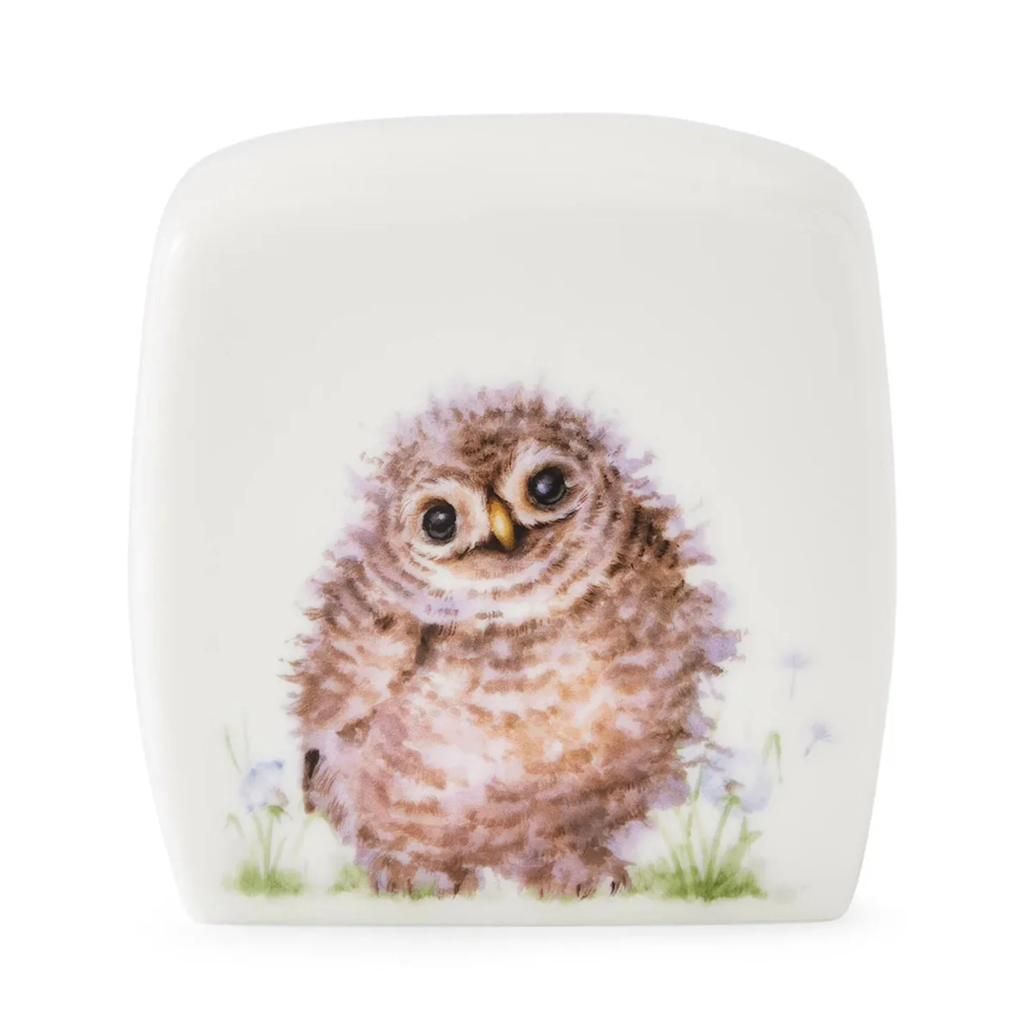 Little Wren Money Box - LW Money Box - Image 4