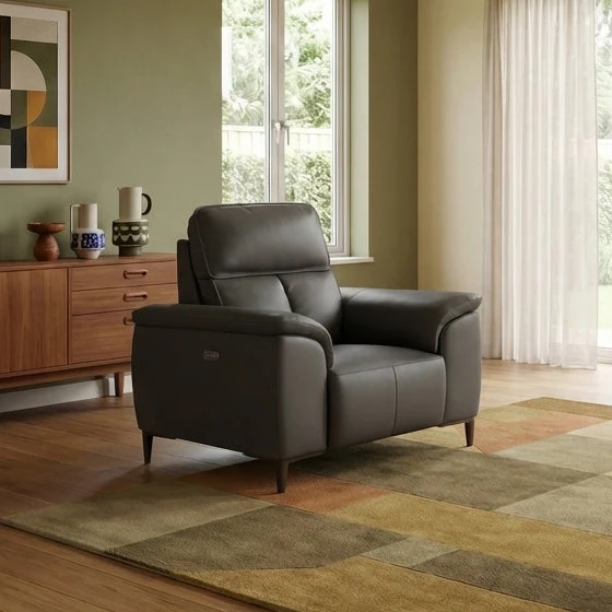 Loma Armchair - Armchair Cat 20S - Image 2