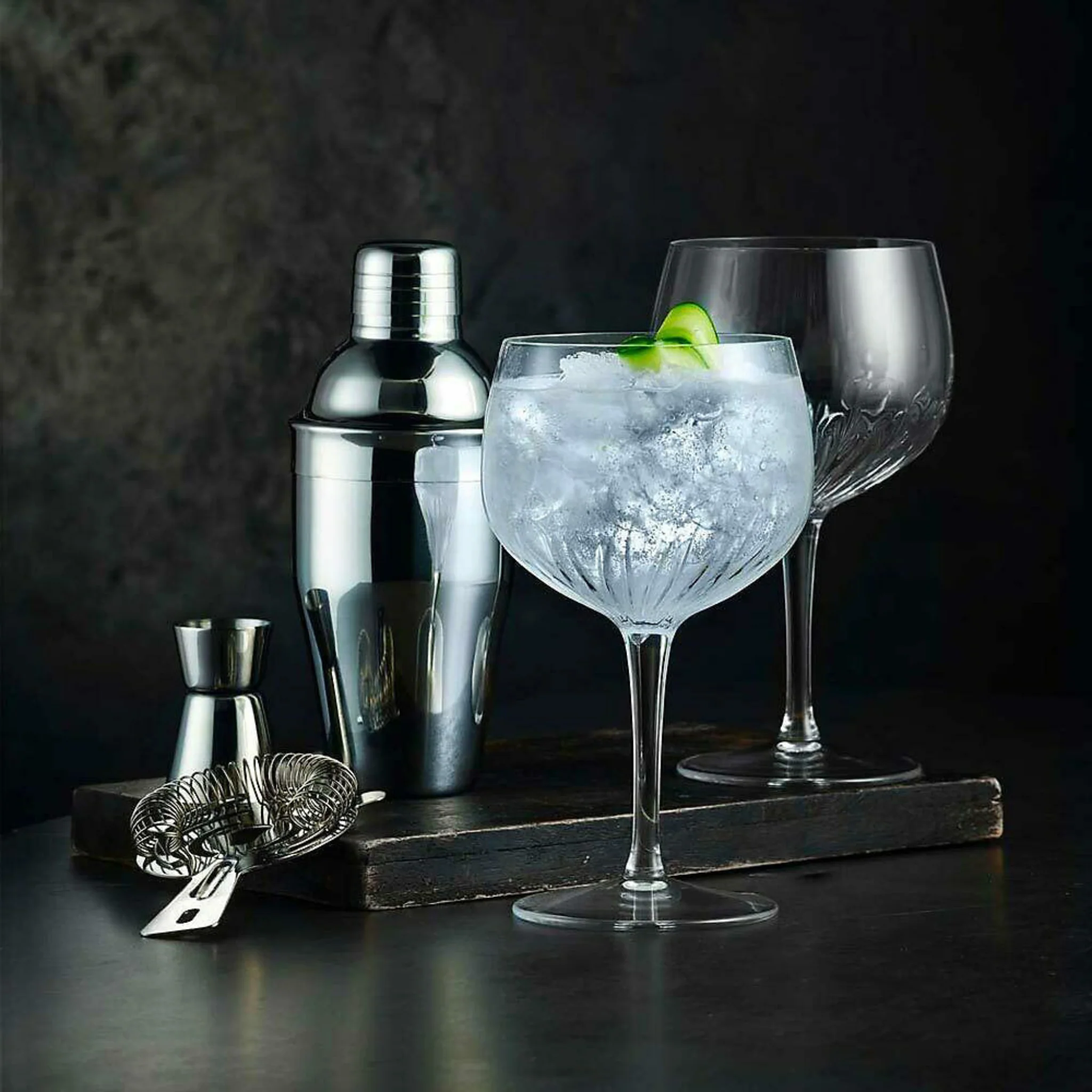 DISC Mixology Spanish Gin Glasses 4pk