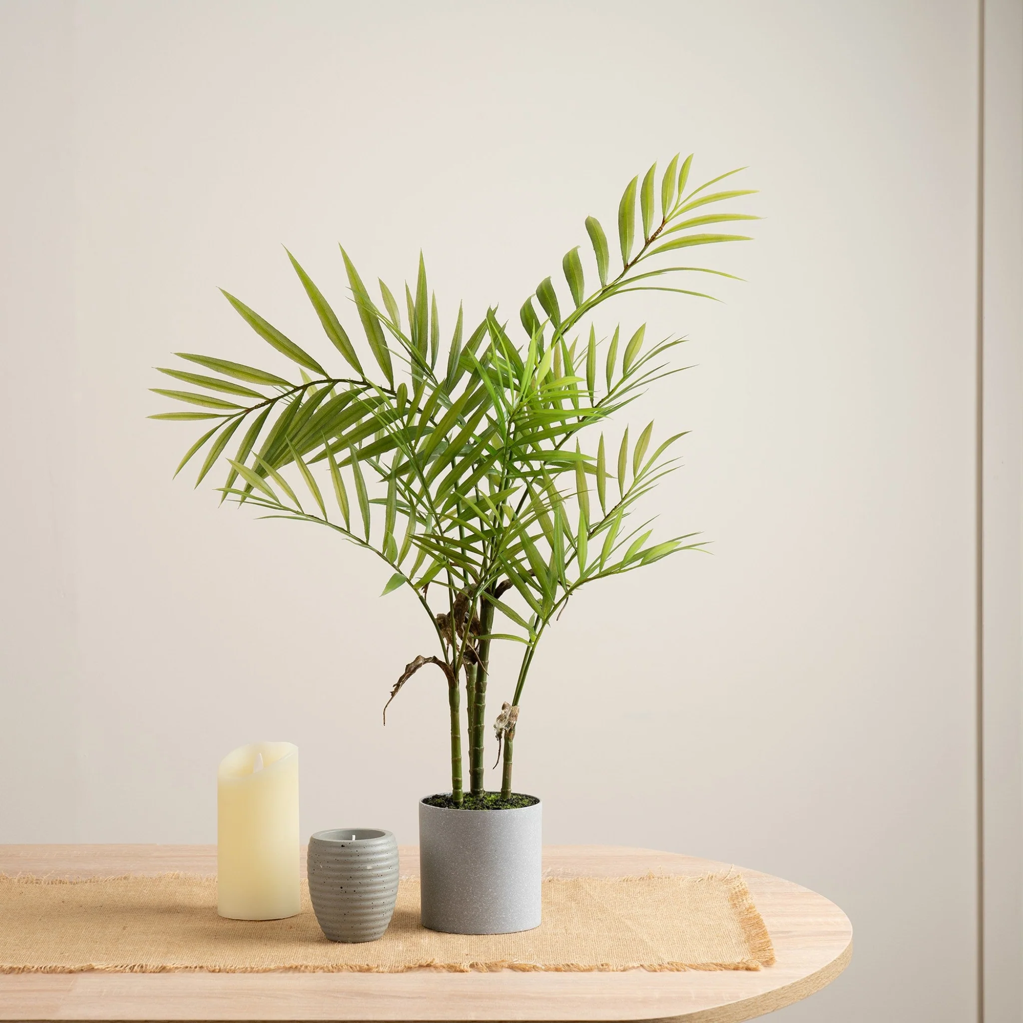 Palm In Grey Plastic Pot - 66CM Palm in Grey Plastic Pot