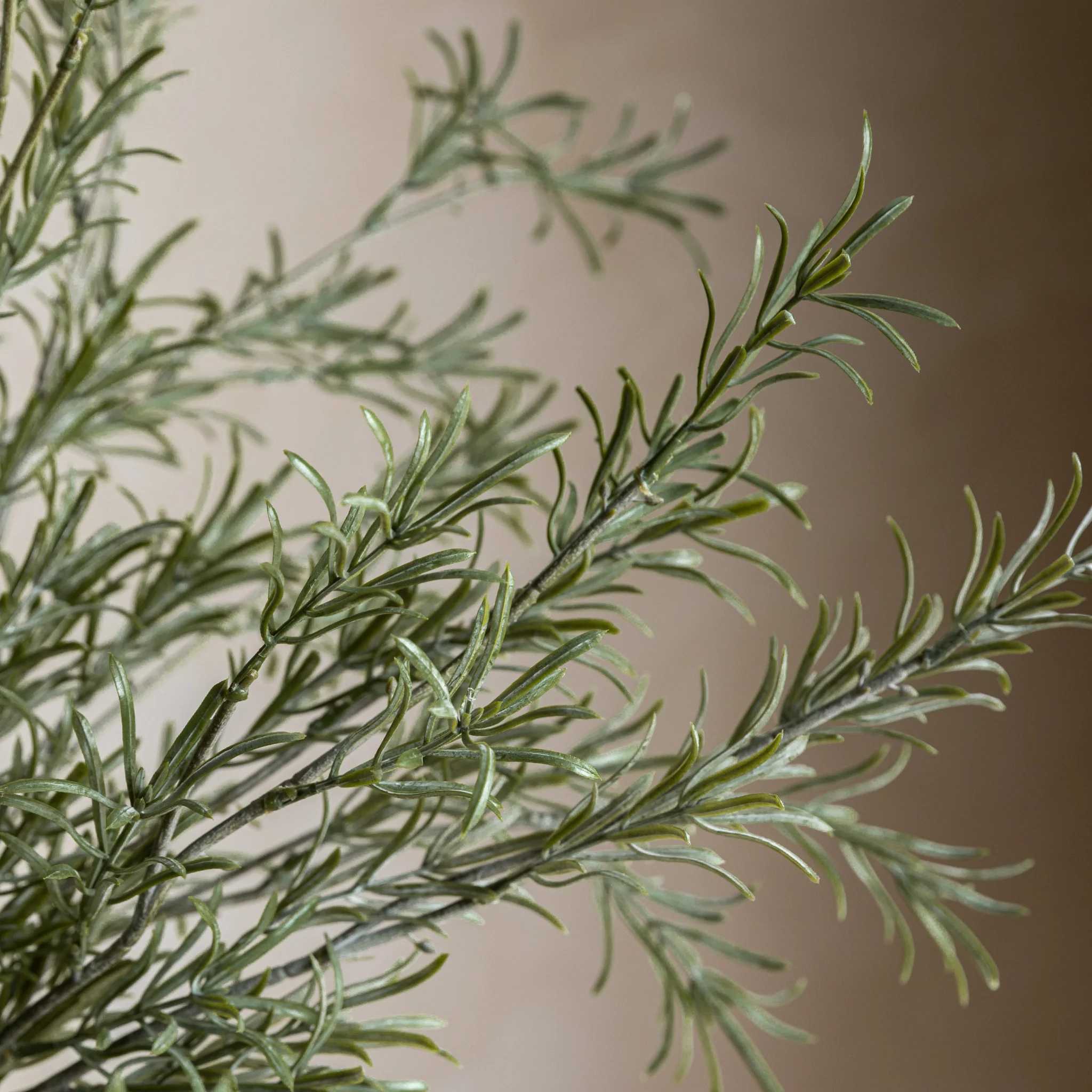 Rosemary Green Set Of 12 Artificial Flowers - DHD Faux Stem Rosemary Green 81CM 12Pk - Image 3