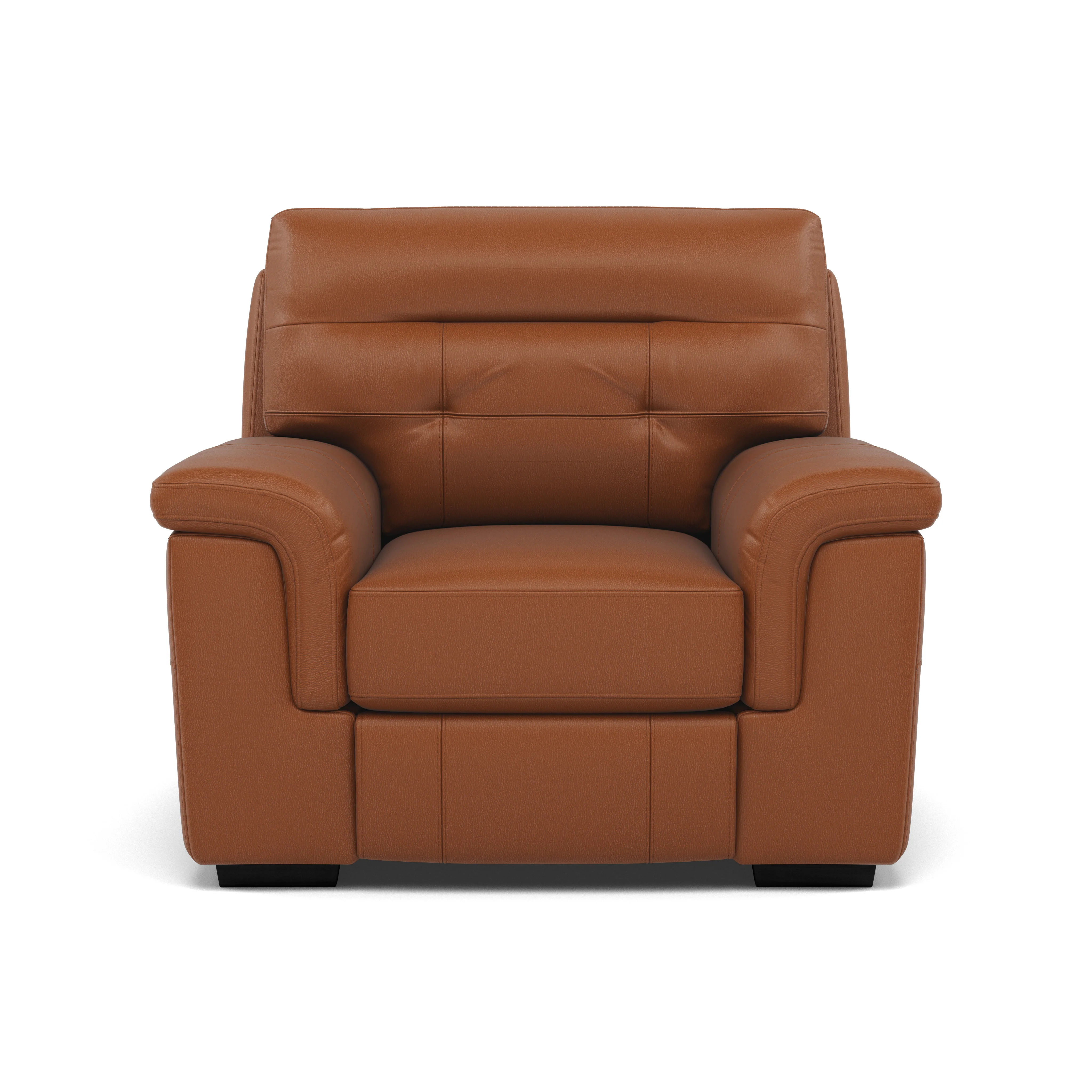 Silva Armchair - Armchair BXS Only - Image 10