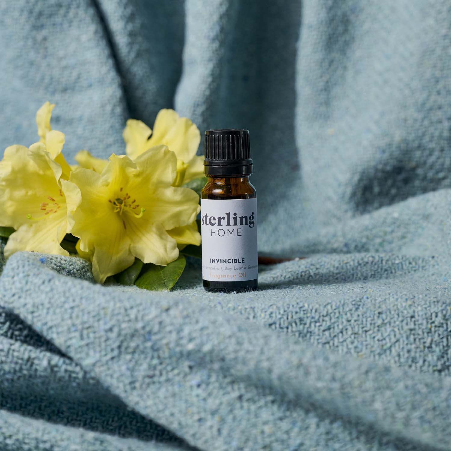Sterling Home Fragrance Invincible Fragrance Oil - 10mL Fragrance Oil Invincible
