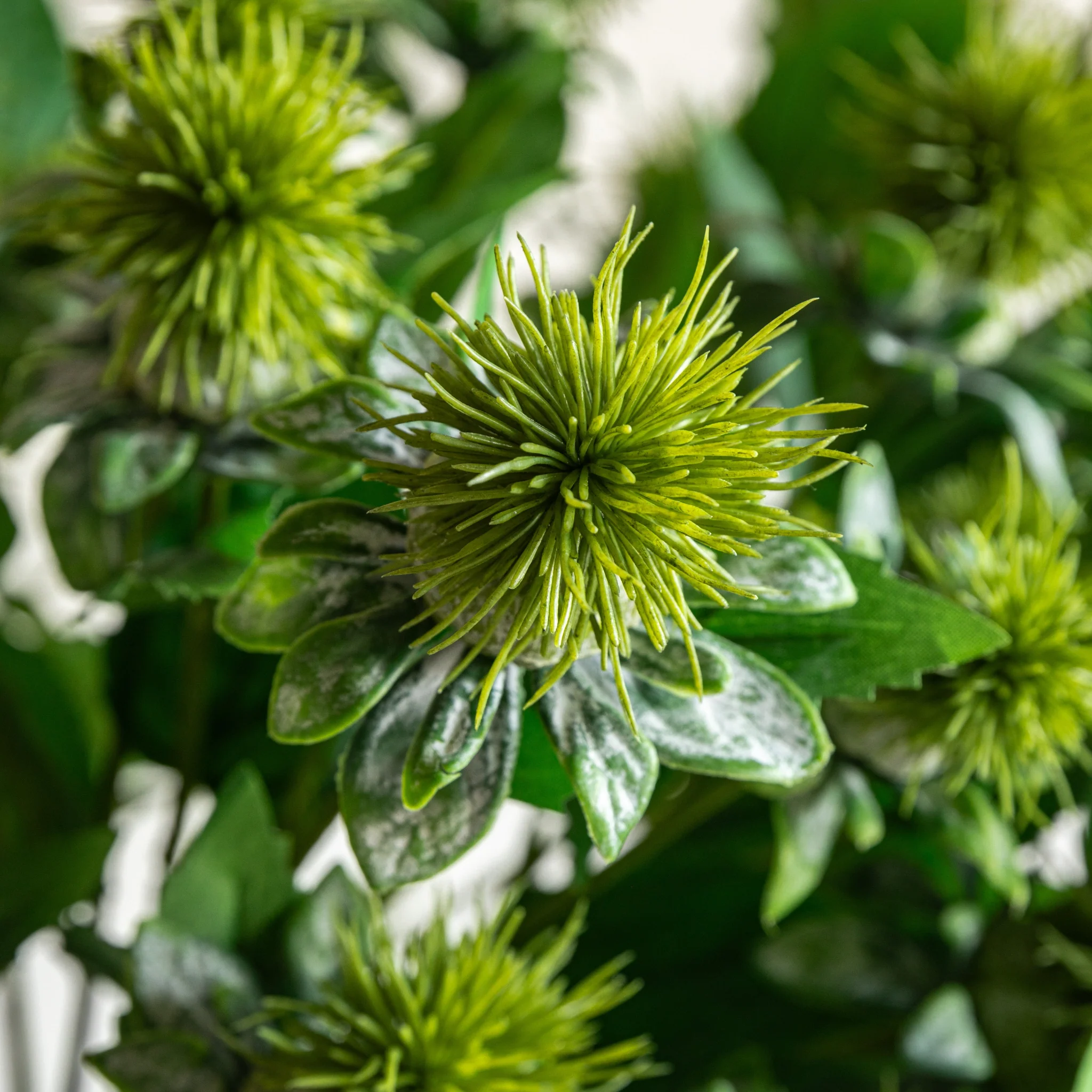 Thistle Green Set Of 12 Artificial Flowers - DHD Faux Stem Thistle Green 79CM 12PK - Image 2