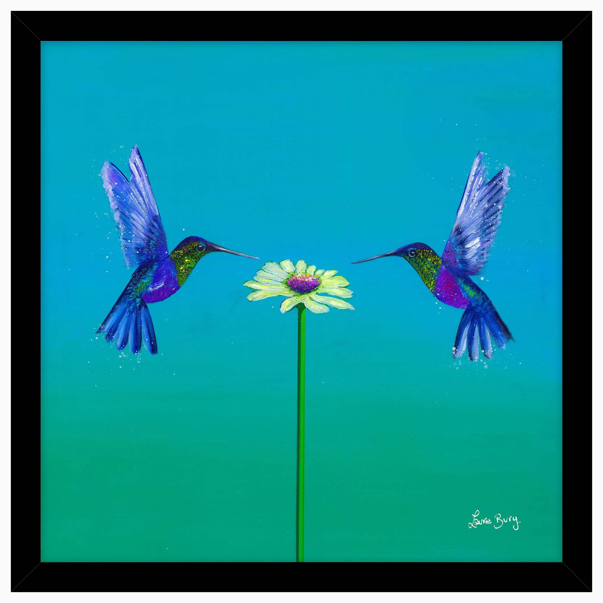 Two Hummingbirds Blue Framed Print - Two Hummingbirds Teal 43X43 Framed Print